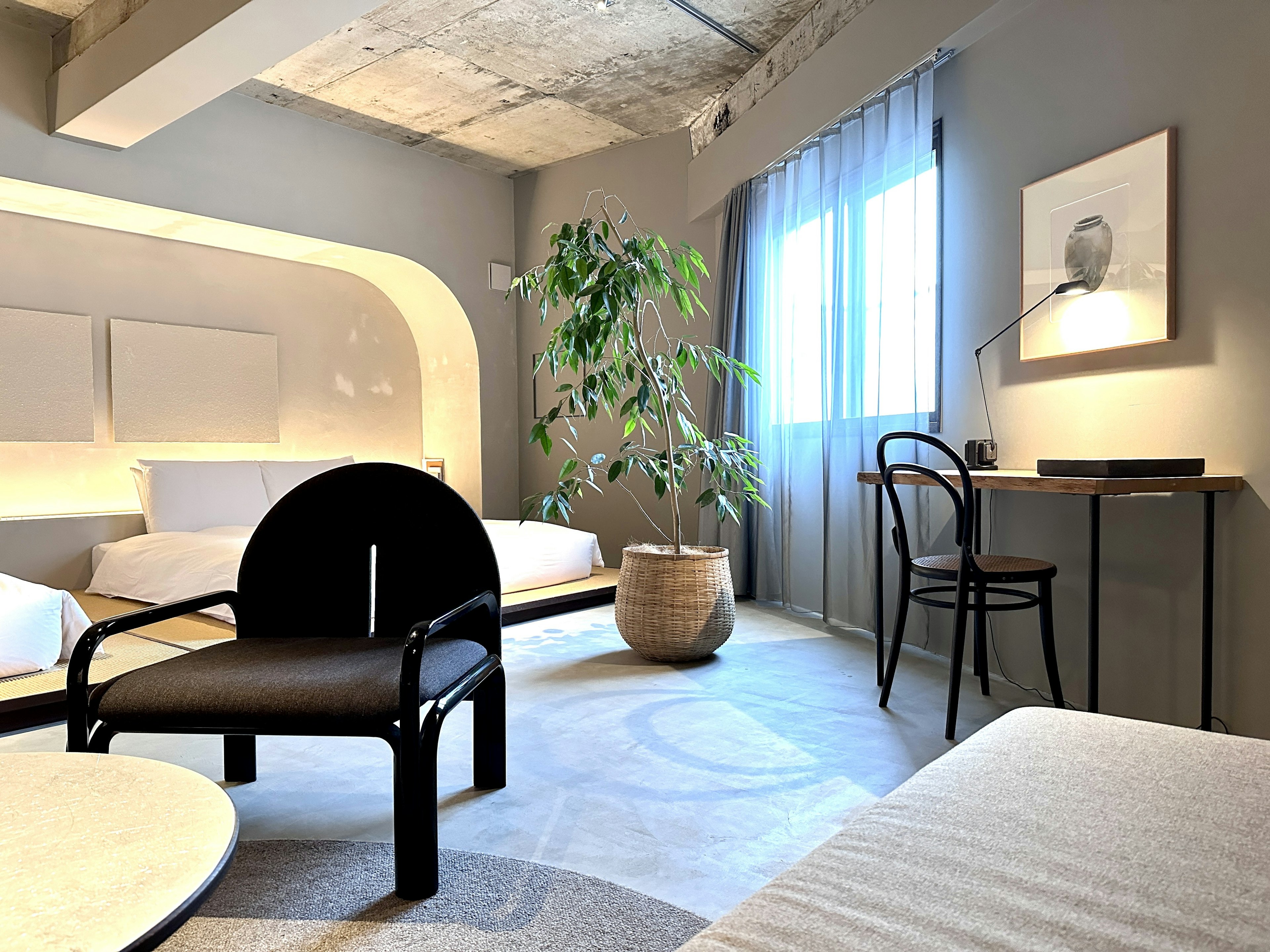 Chambre d'hôtel moderne avec une plante verte et une grande fenêtre, mobilier simple et palette de couleurs apaisantes