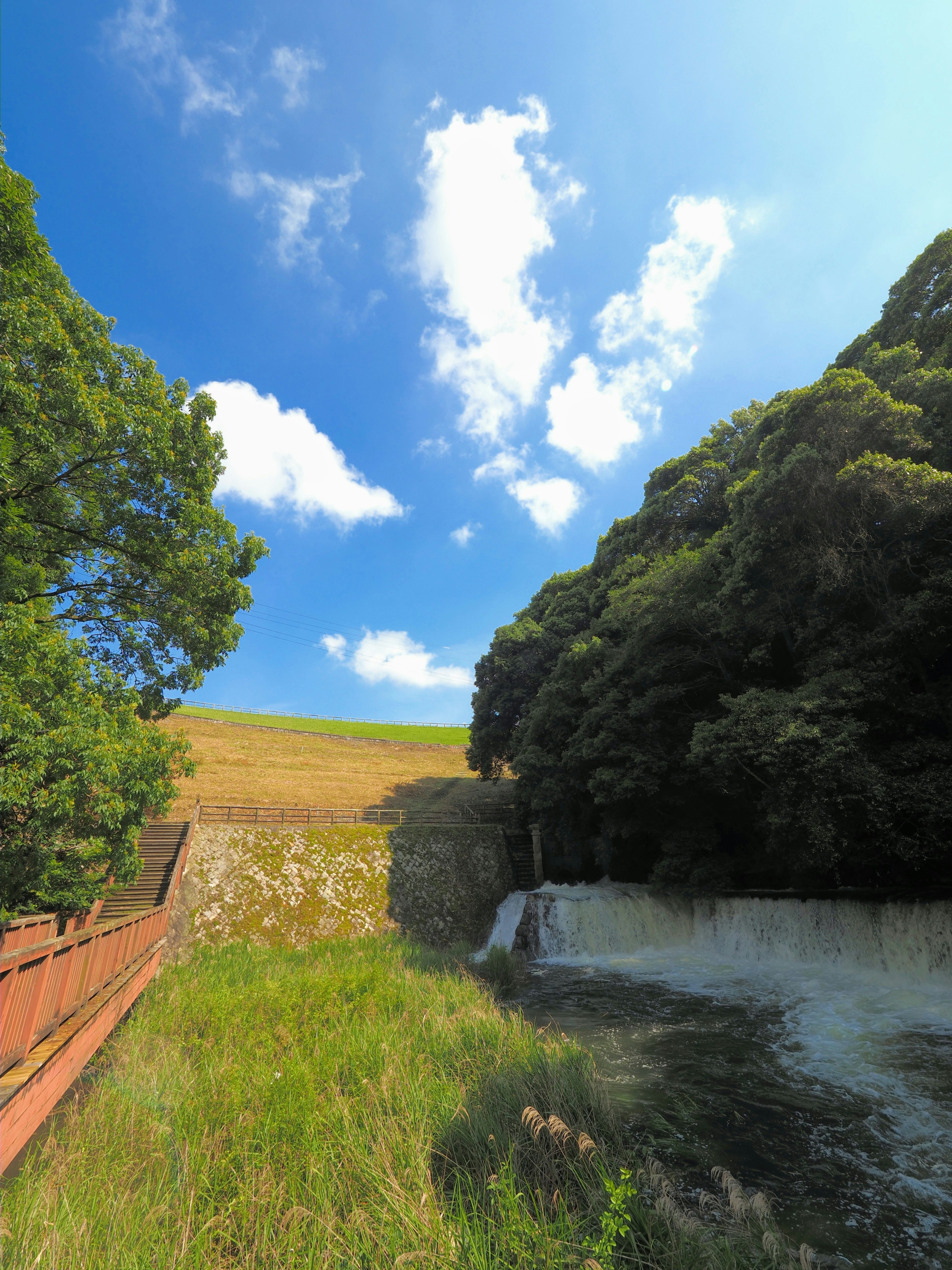 Scenic view featuring blue sky with white clouds green trees and a flowing stream