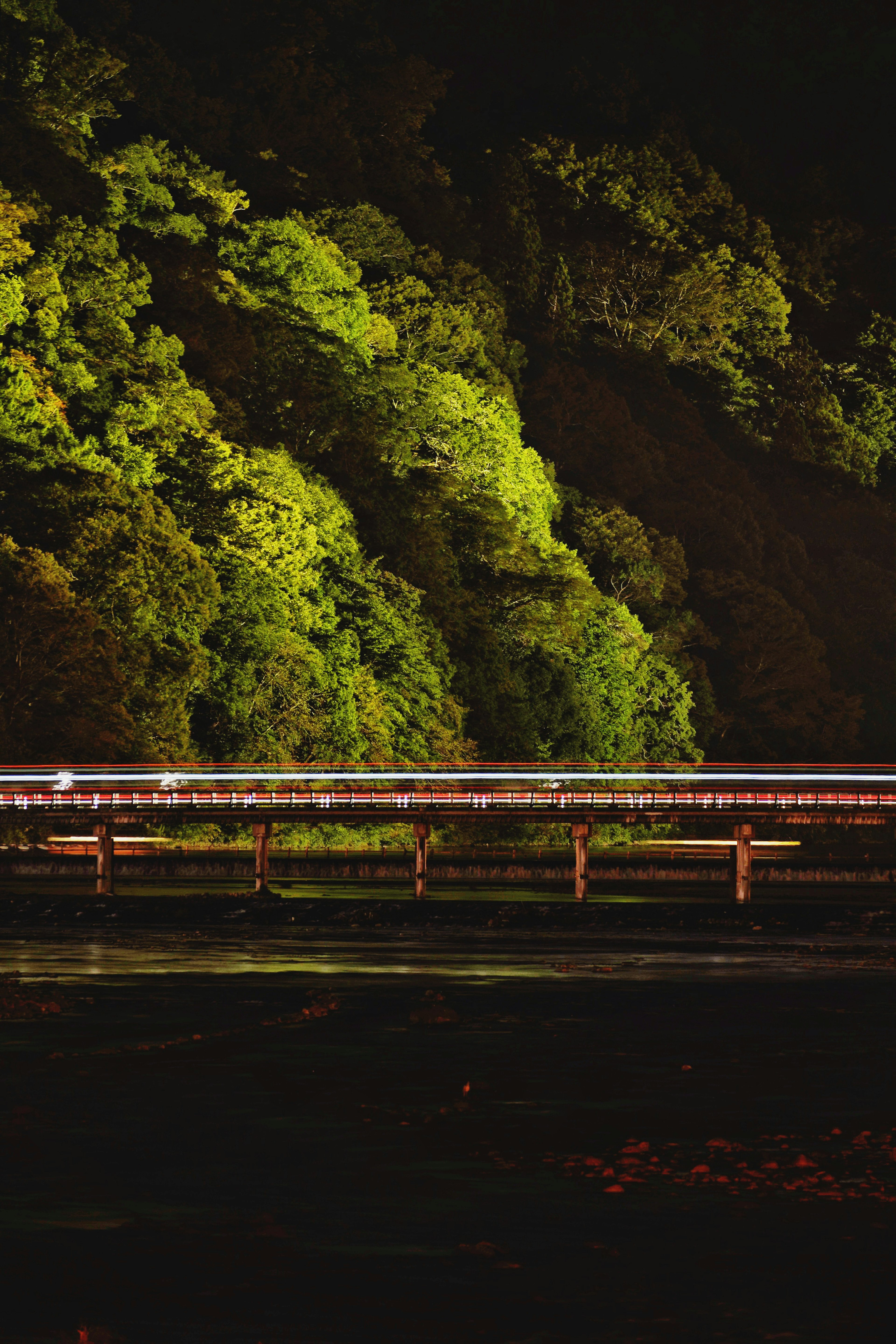 Pemandangan malam jembatan dengan pohon hijau yang diterangi