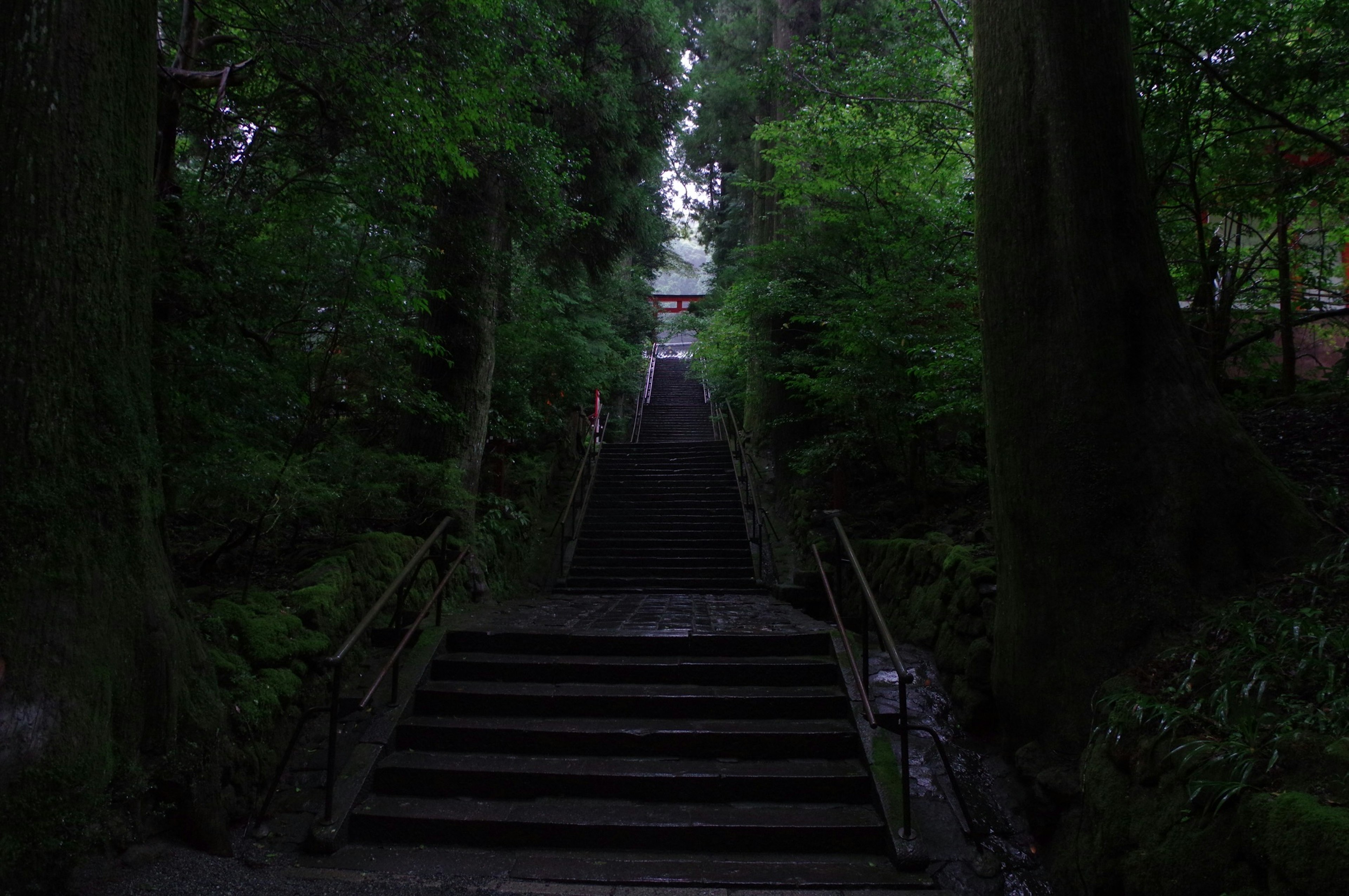 緑に囲まれた階段が続く神秘的な風景