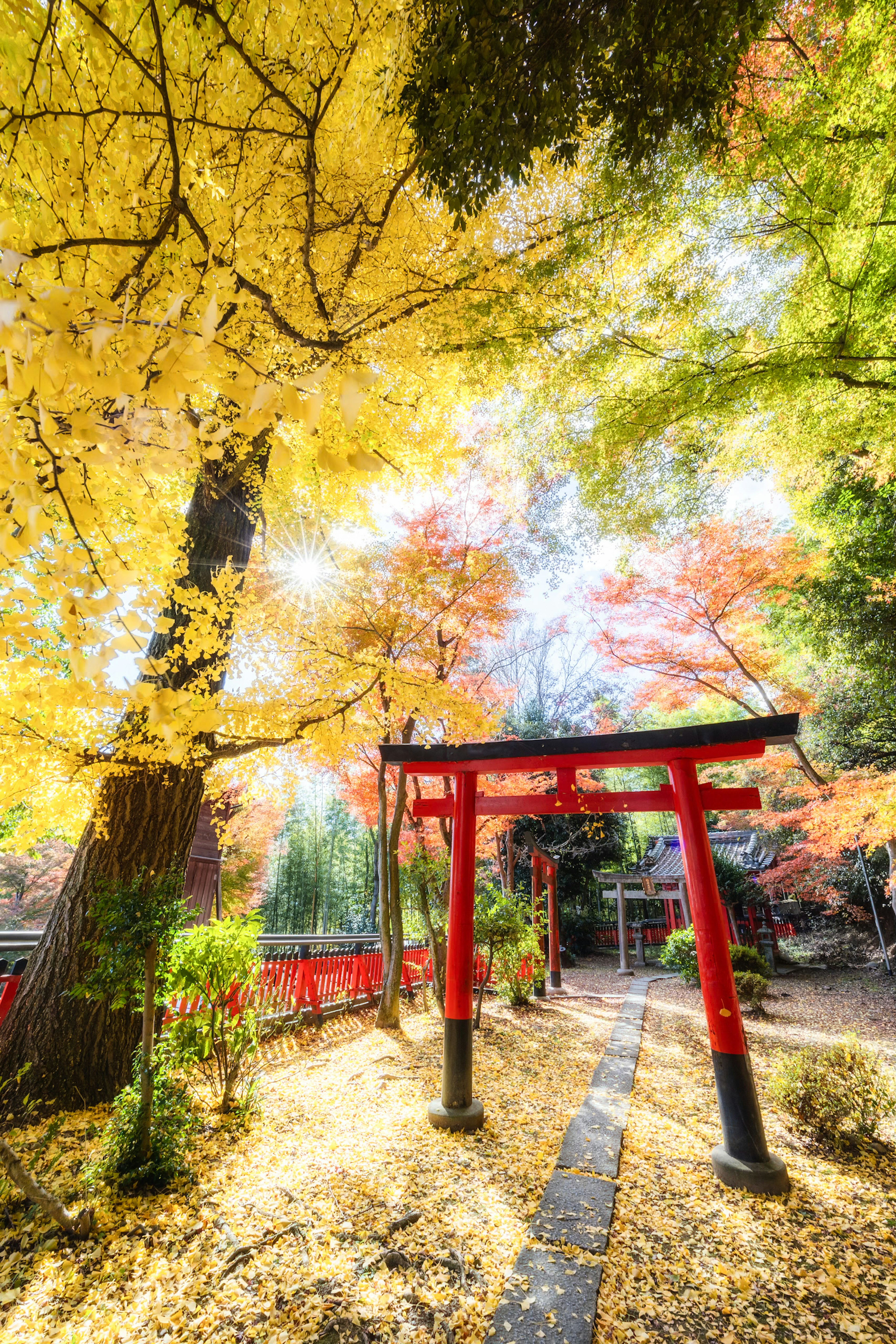 Red torii gate surrounded by autumn foliage and a stone path