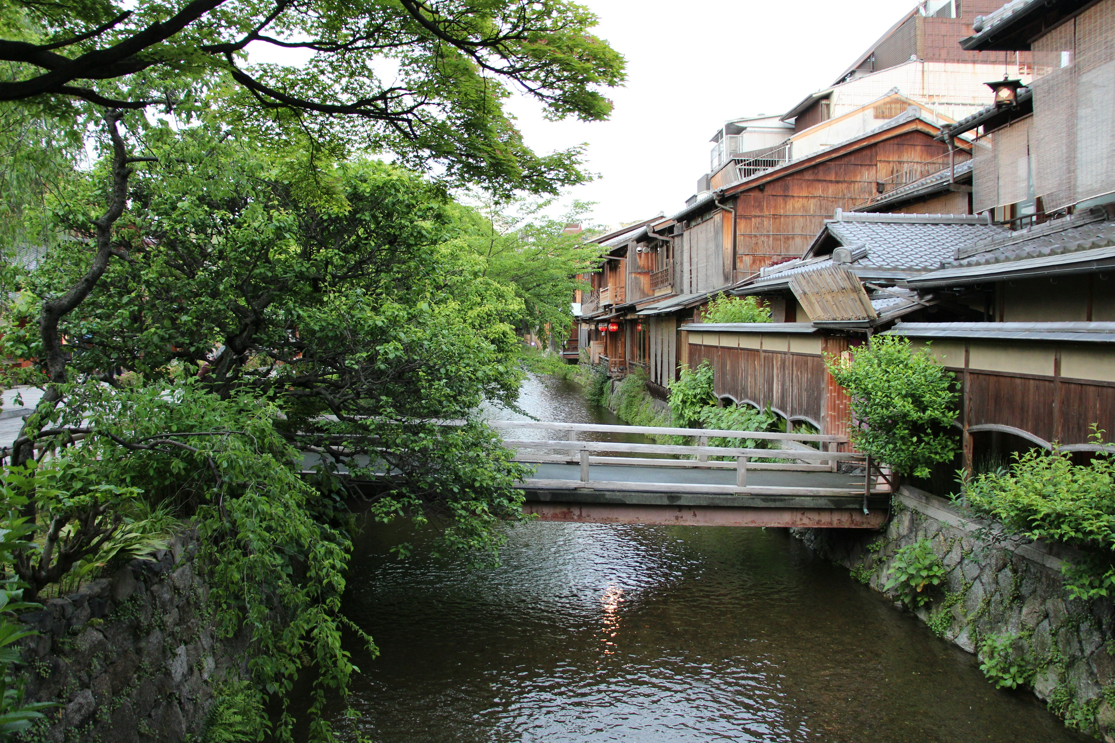 緑の木々と古い建物に囲まれた静かな川の風景