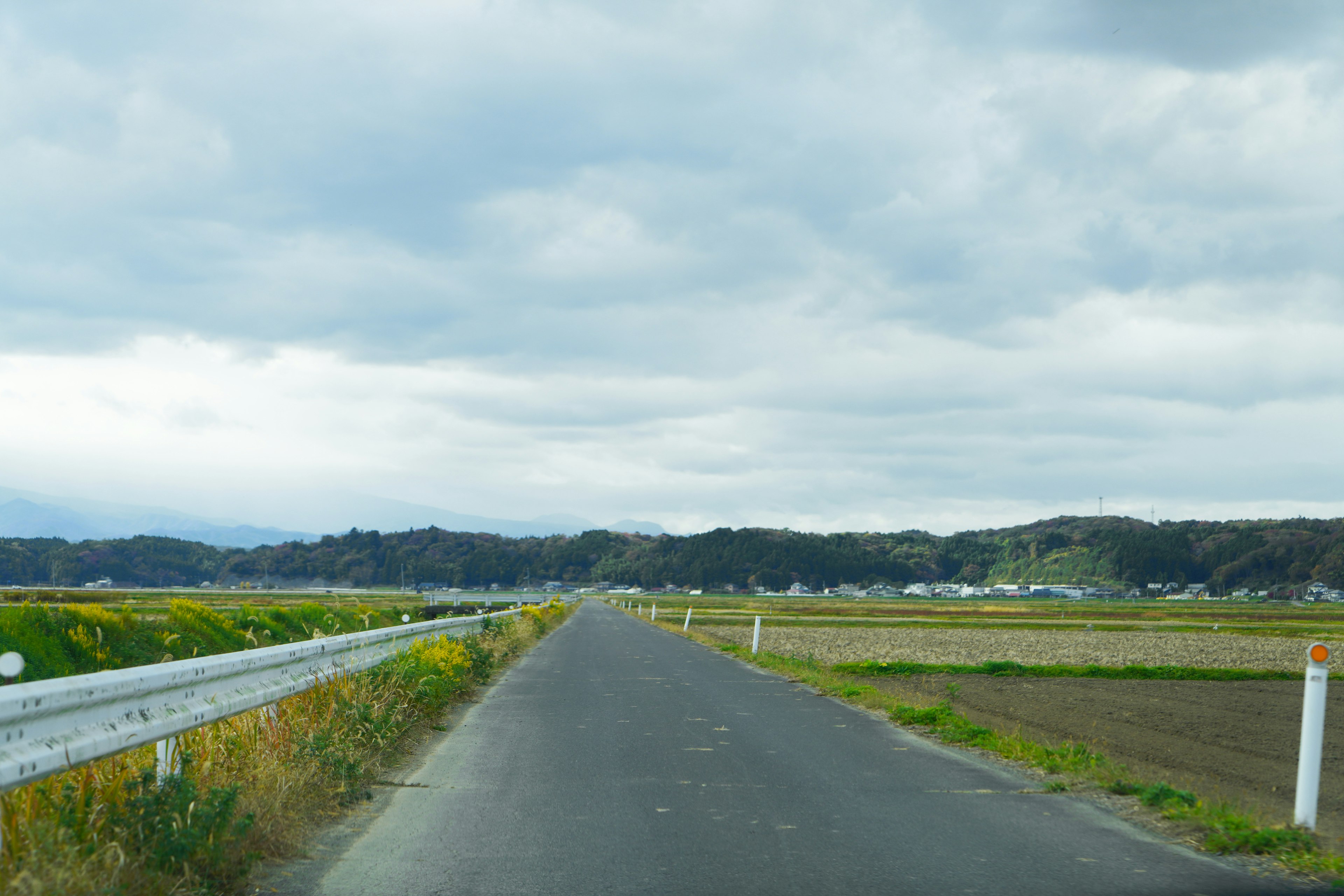 Camino rural y tierras agrícolas bajo un cielo nublado