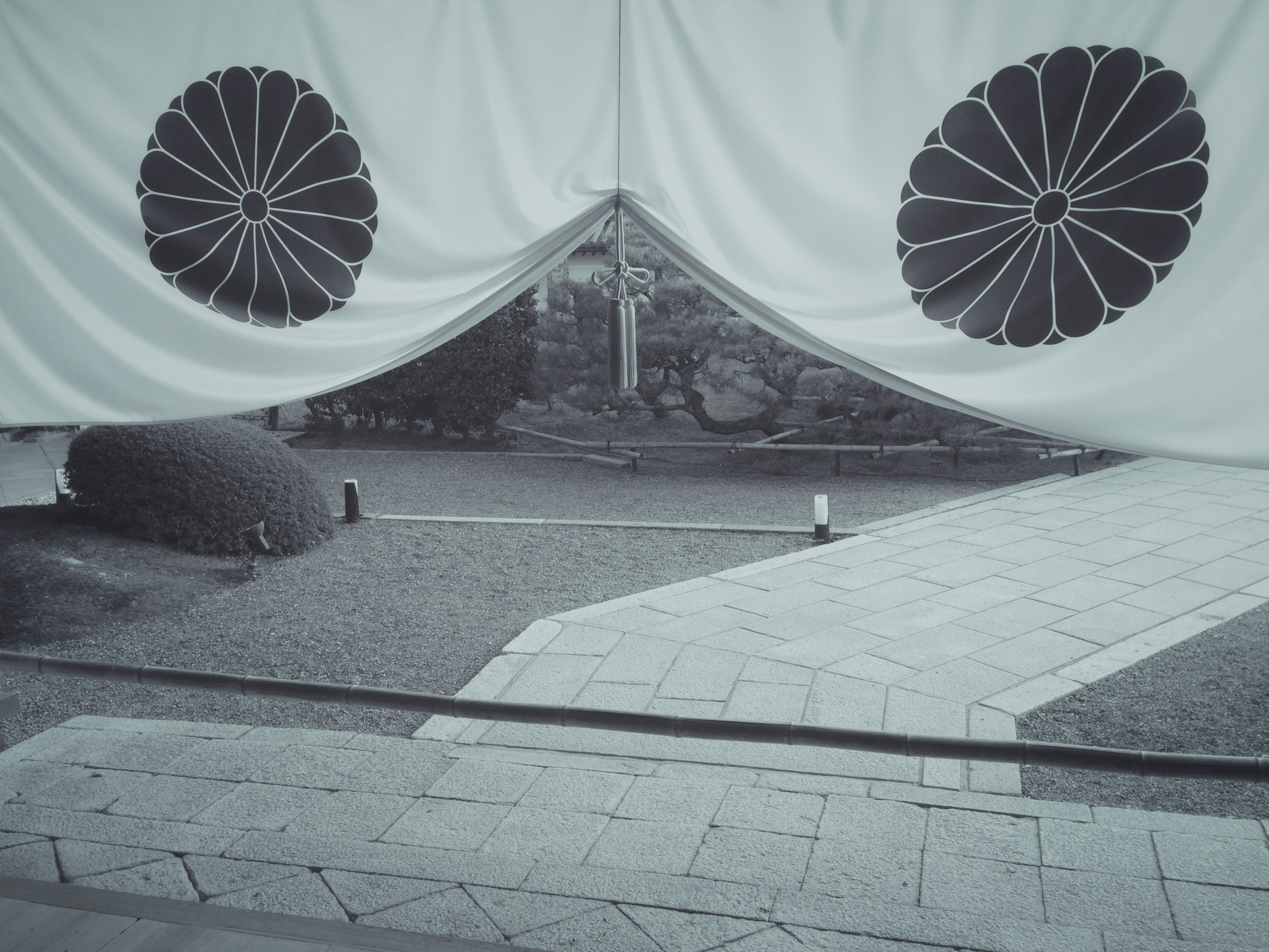 Black and white garden view featuring two large floral patterned curtains