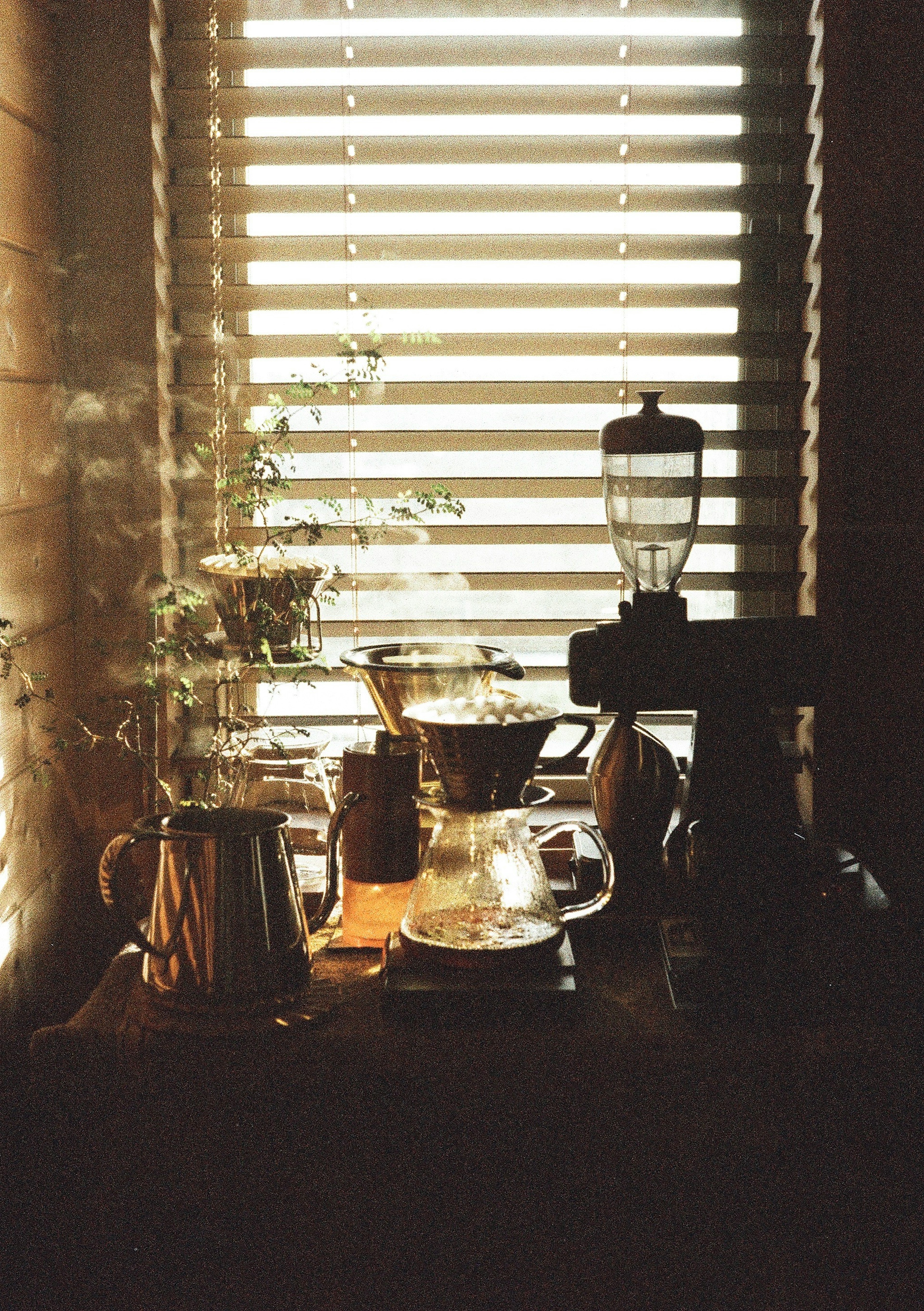 A serene scene of coffee equipment and plants by a window