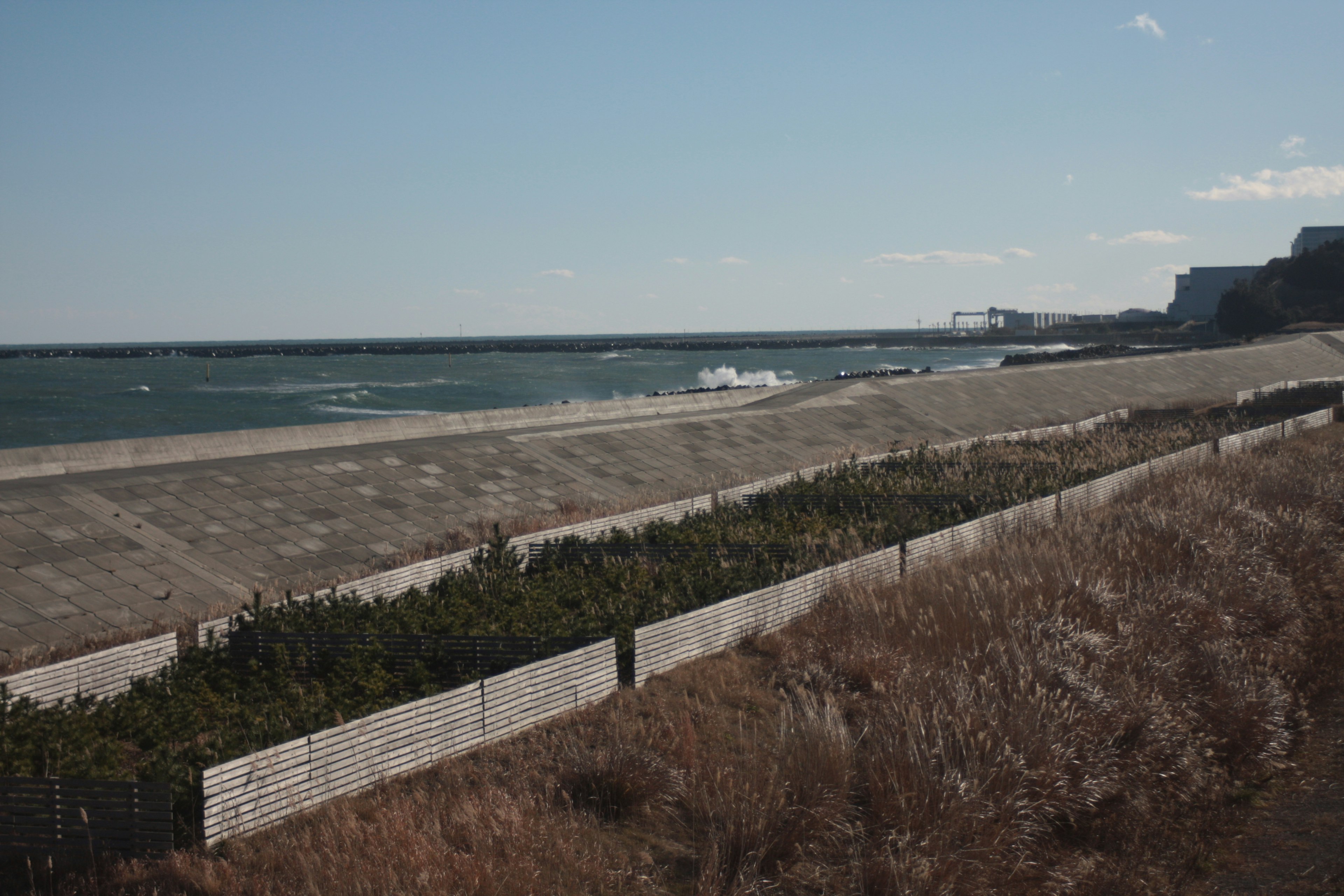 Coastal view of a barrier with grassland and ocean waves