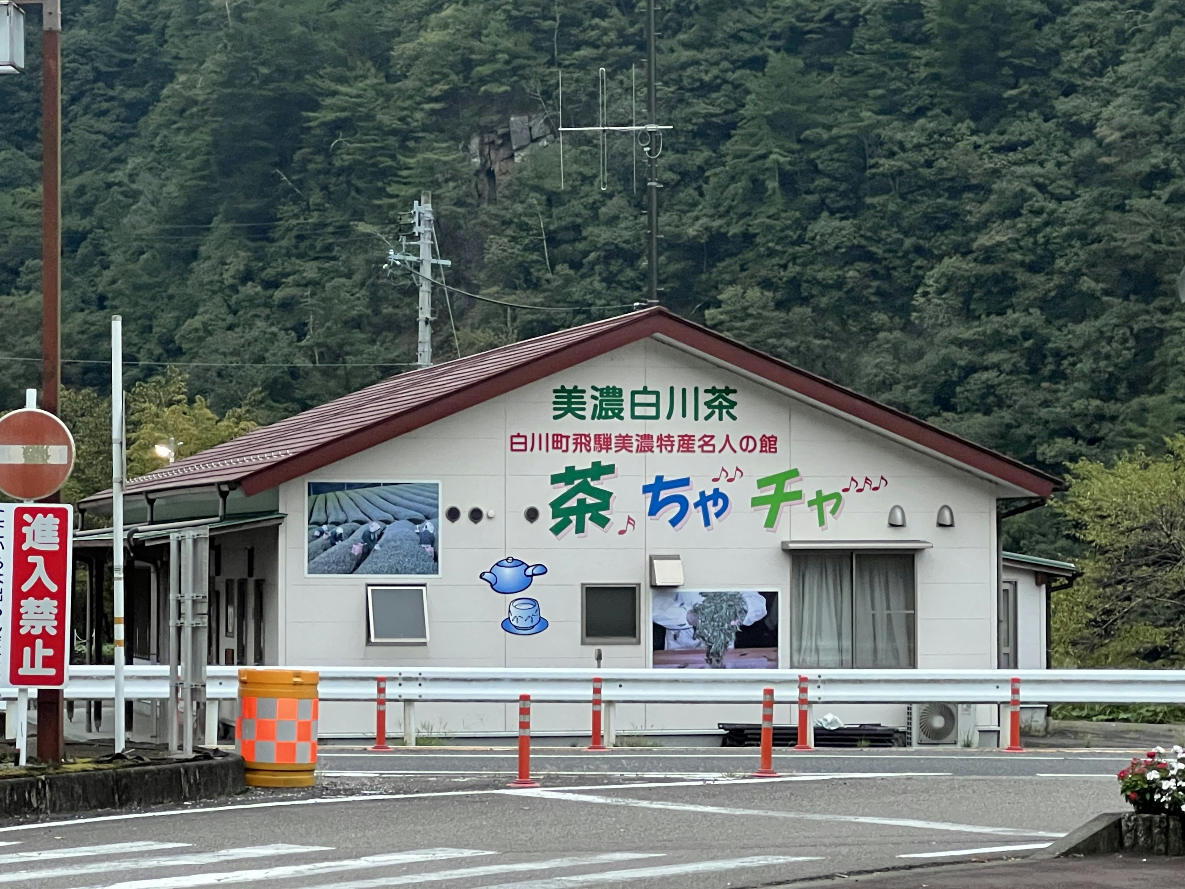 白川茶の販売所の外観と緑の山々