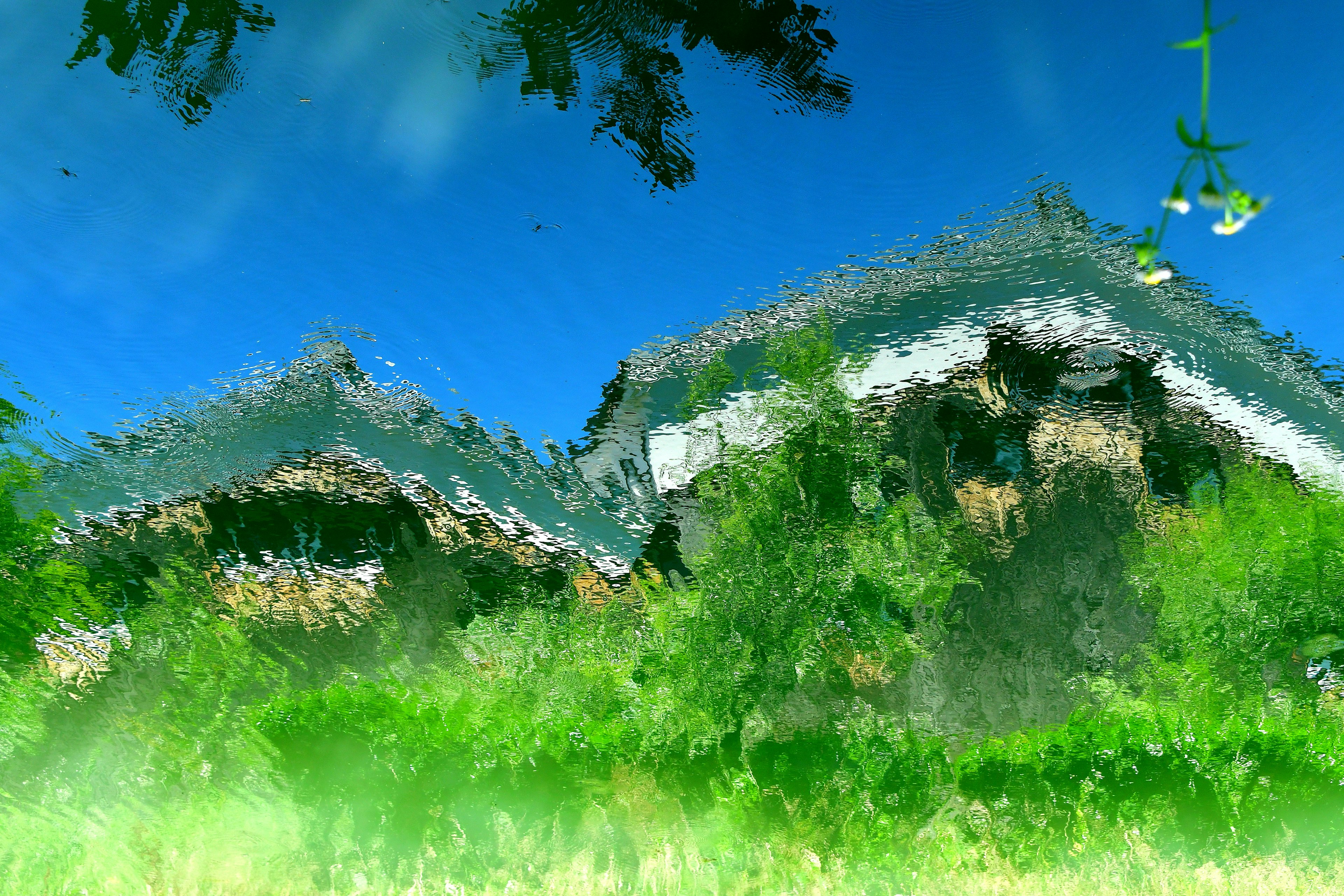 Blurred buildings and greenery under a blue sky