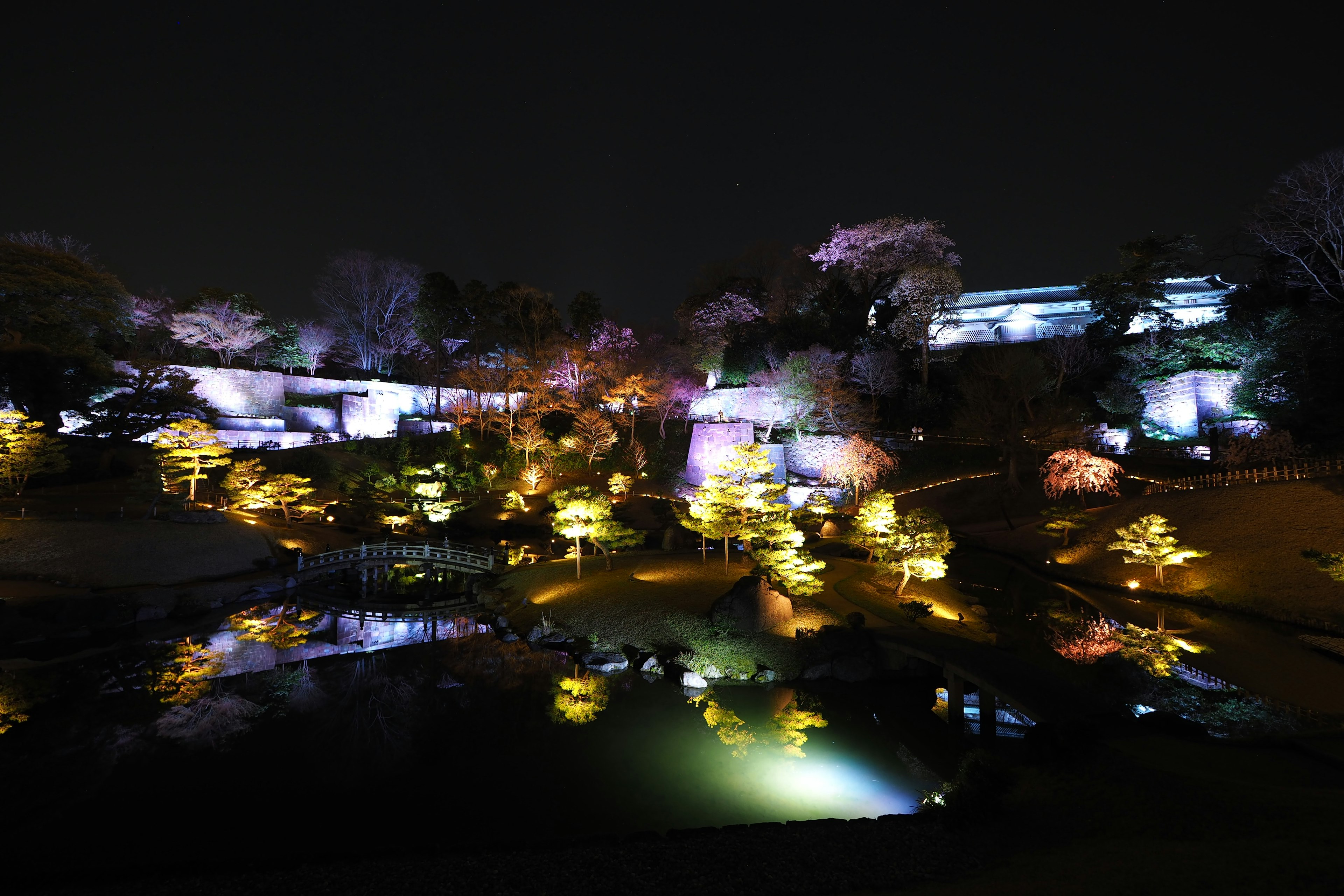 Hermosa escena nocturna de un jardín iluminado por luces