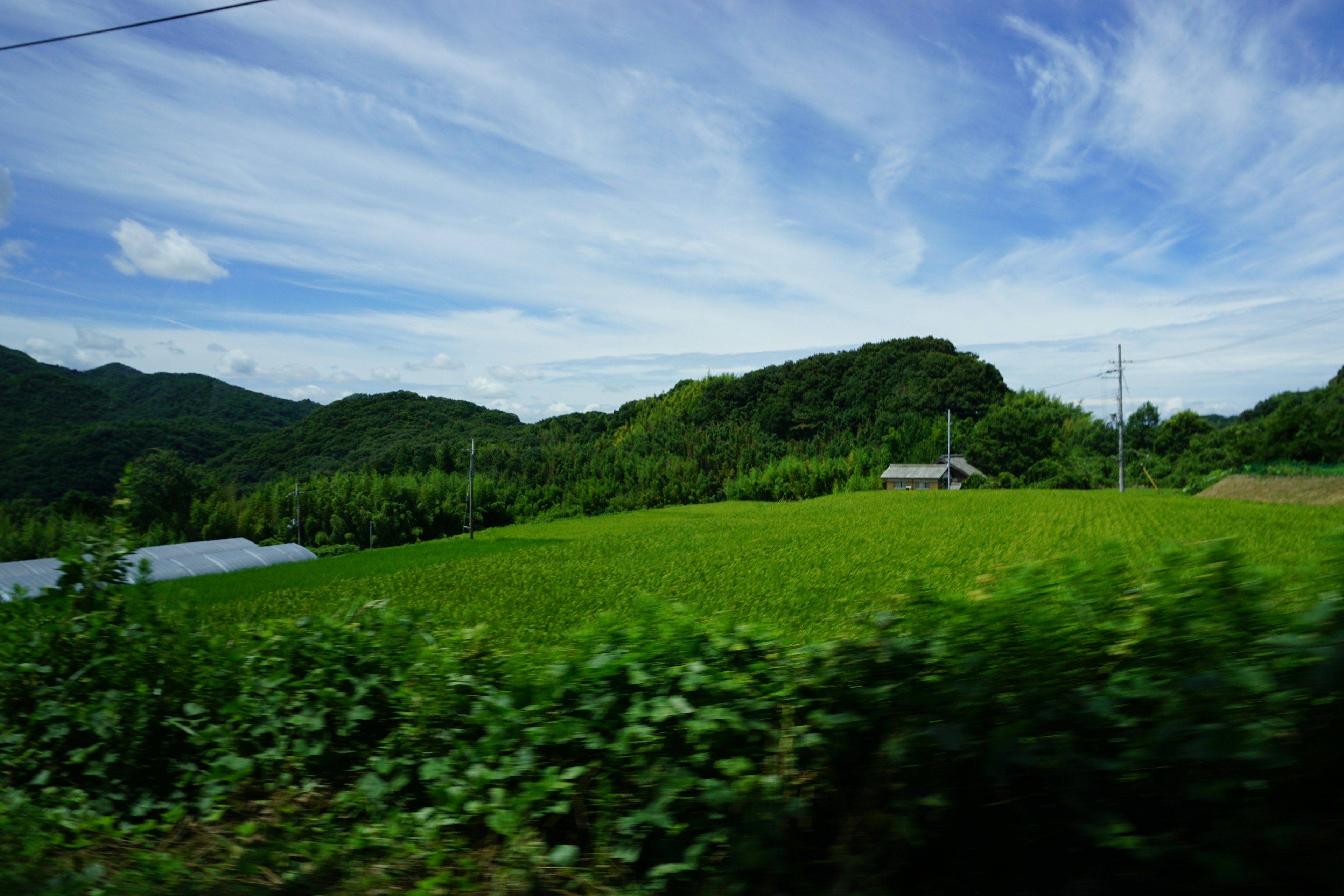 青い空と白い雲に囲まれた緑豊かな風景と田舎の家