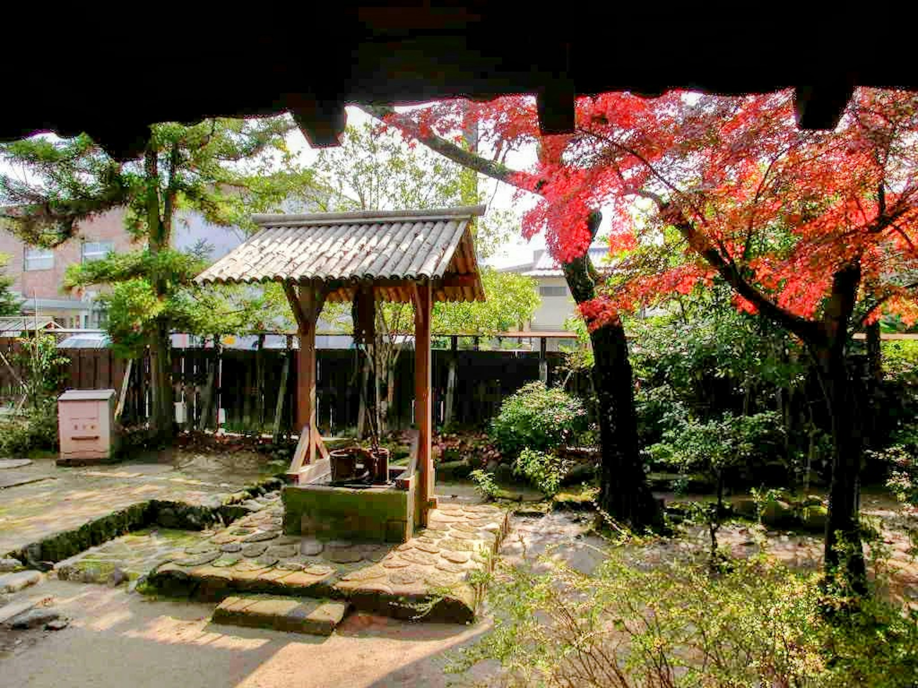 Sumur tradisional di taman Jepang yang indah dengan daun musim gugur yang cerah