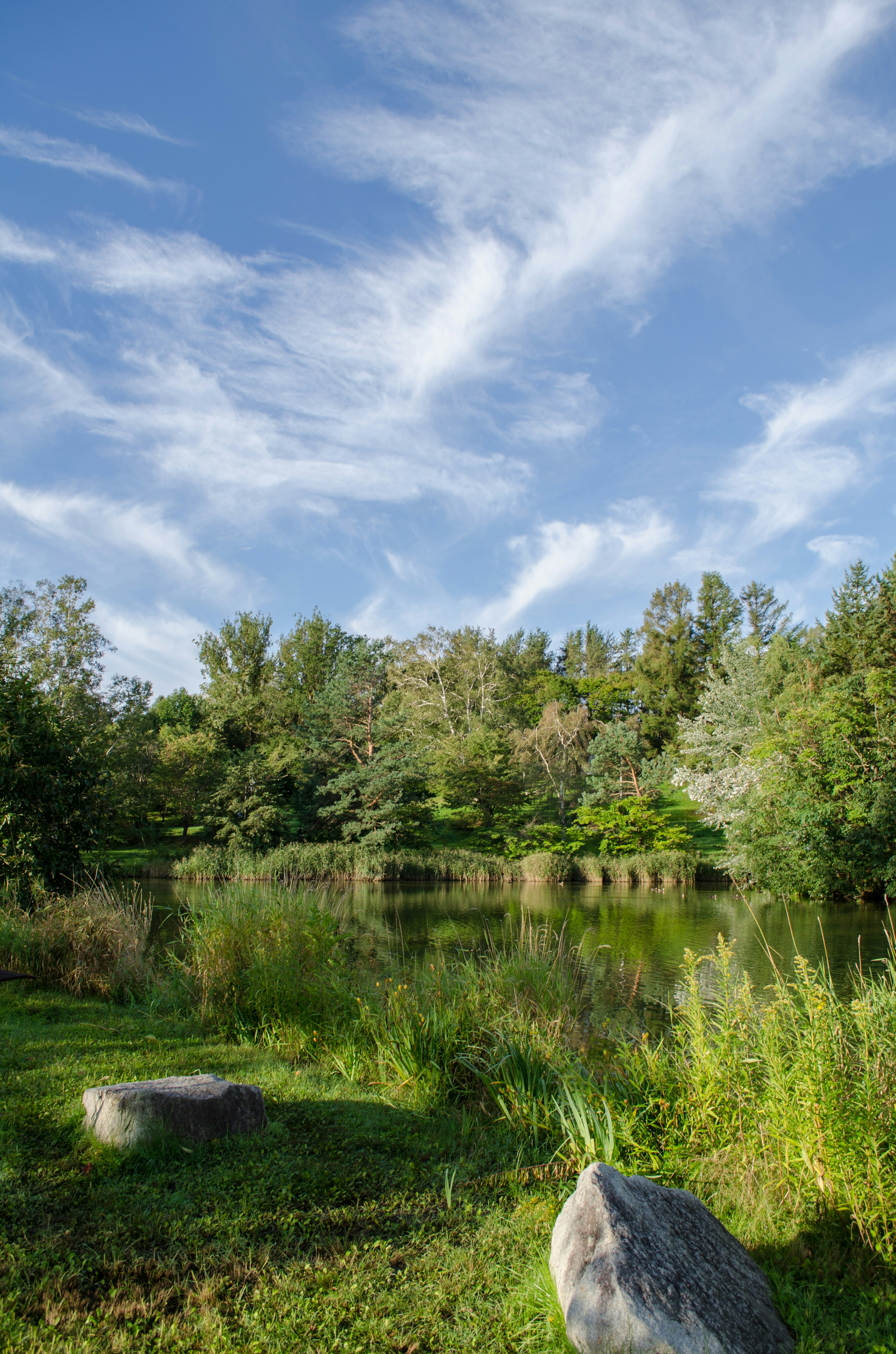 Serene lake view surrounded by blue sky and clouds with nearby rocks and lush green plants