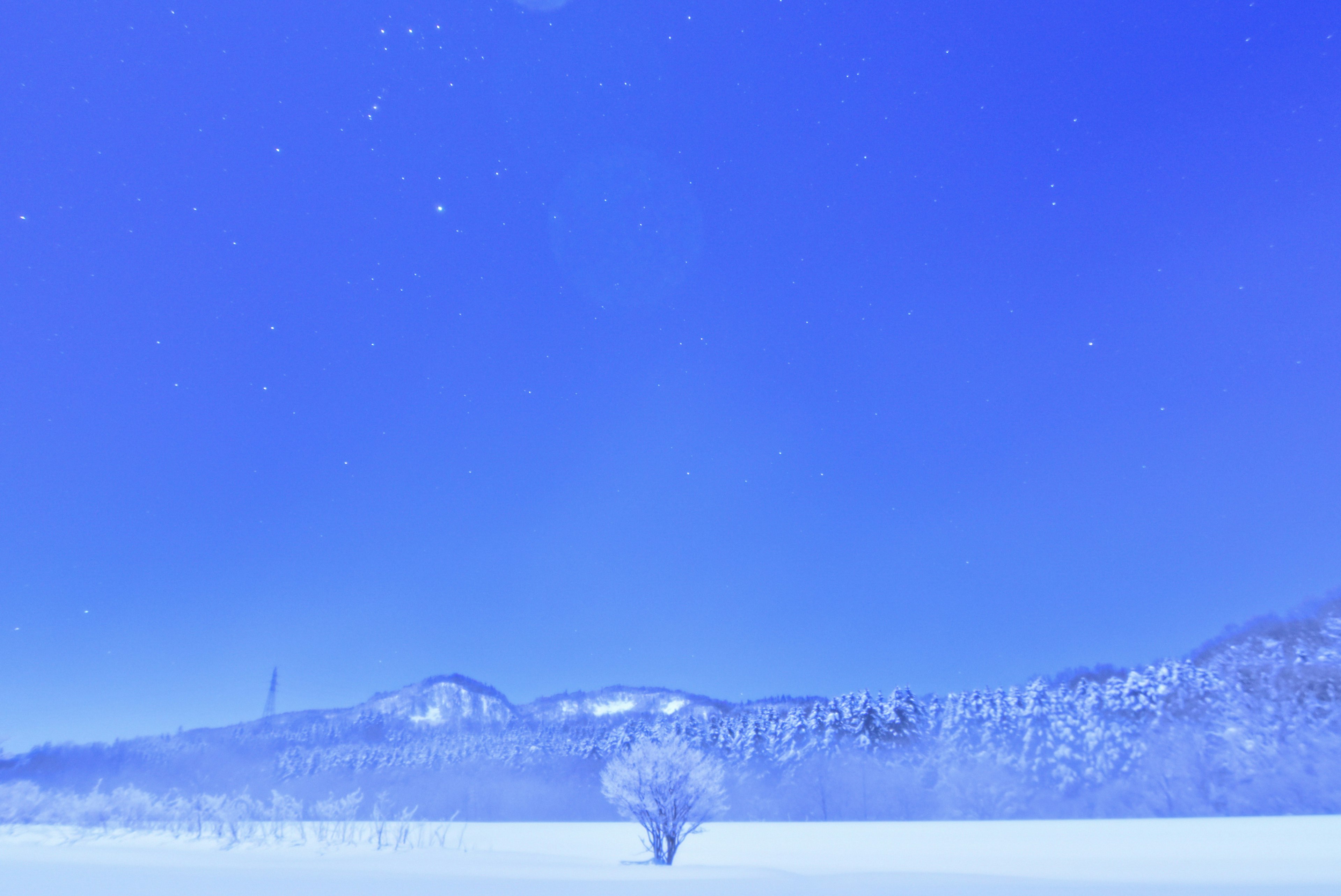 Lonely tree in a snowy landscape under a blue sky