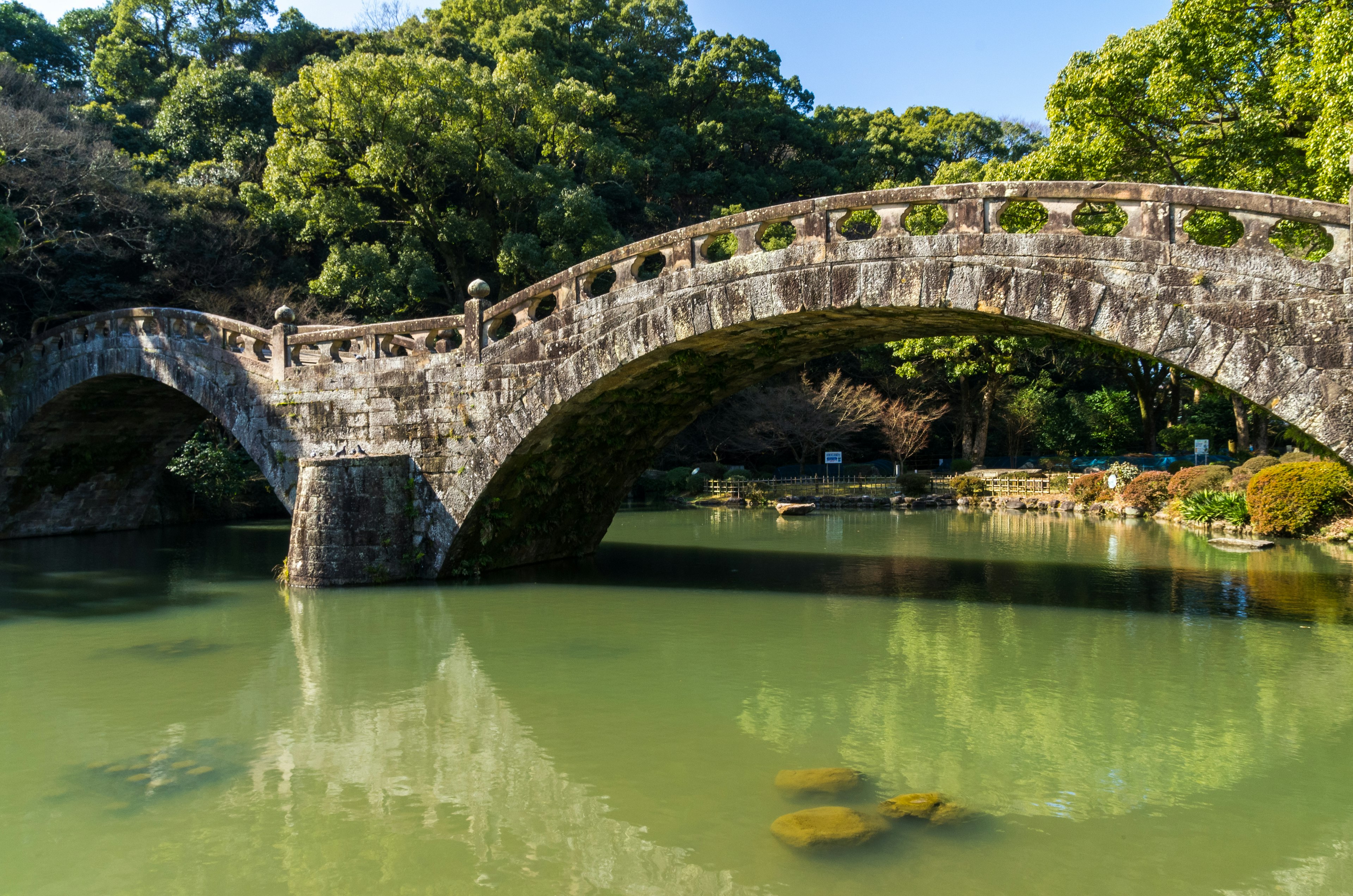 Old stone bridge over a green pond surrounded by lush vegetation in a serene natural setting