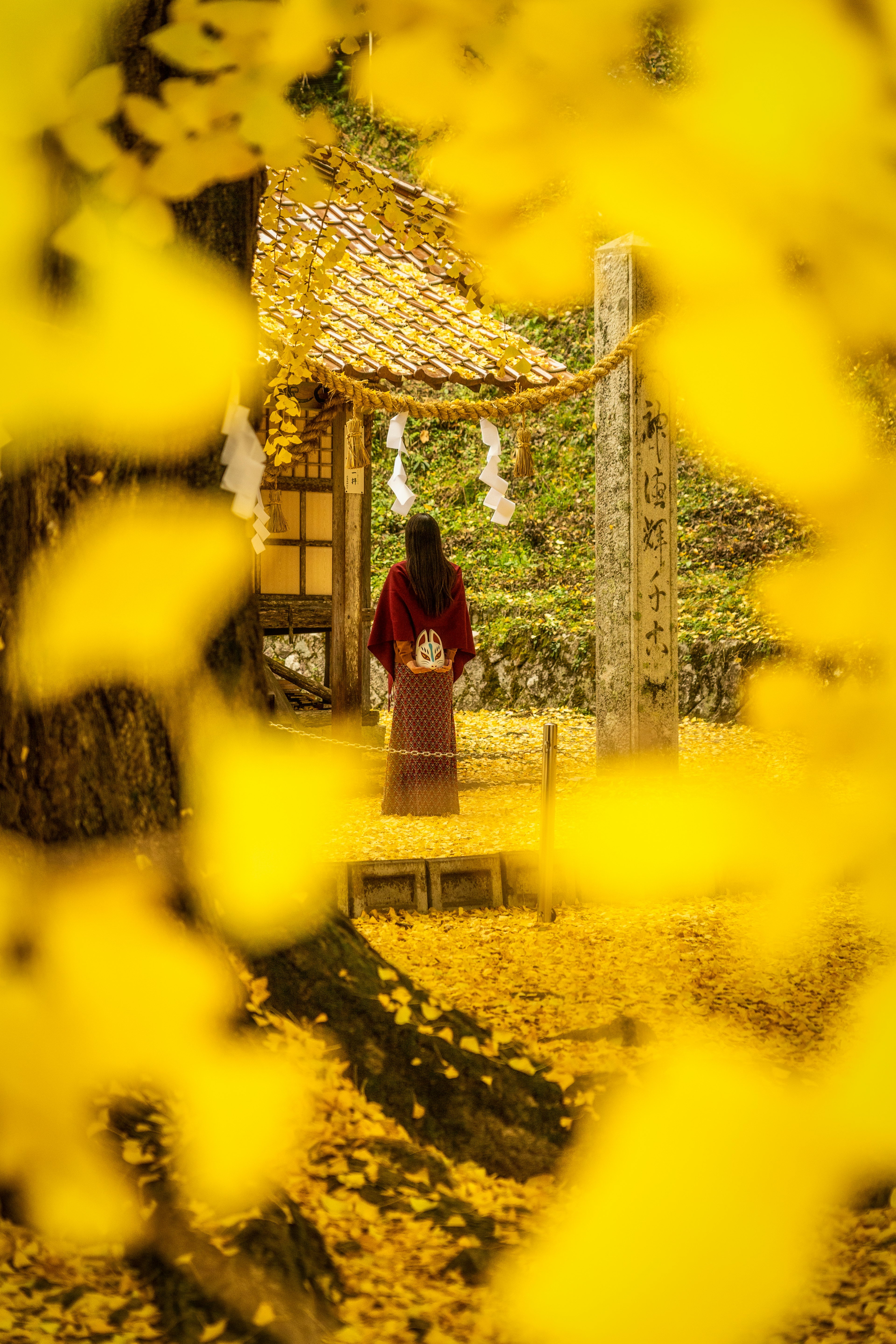 黄色いイチョウの葉に囲まれた伝統的な建物の前に立つ着物姿の女性