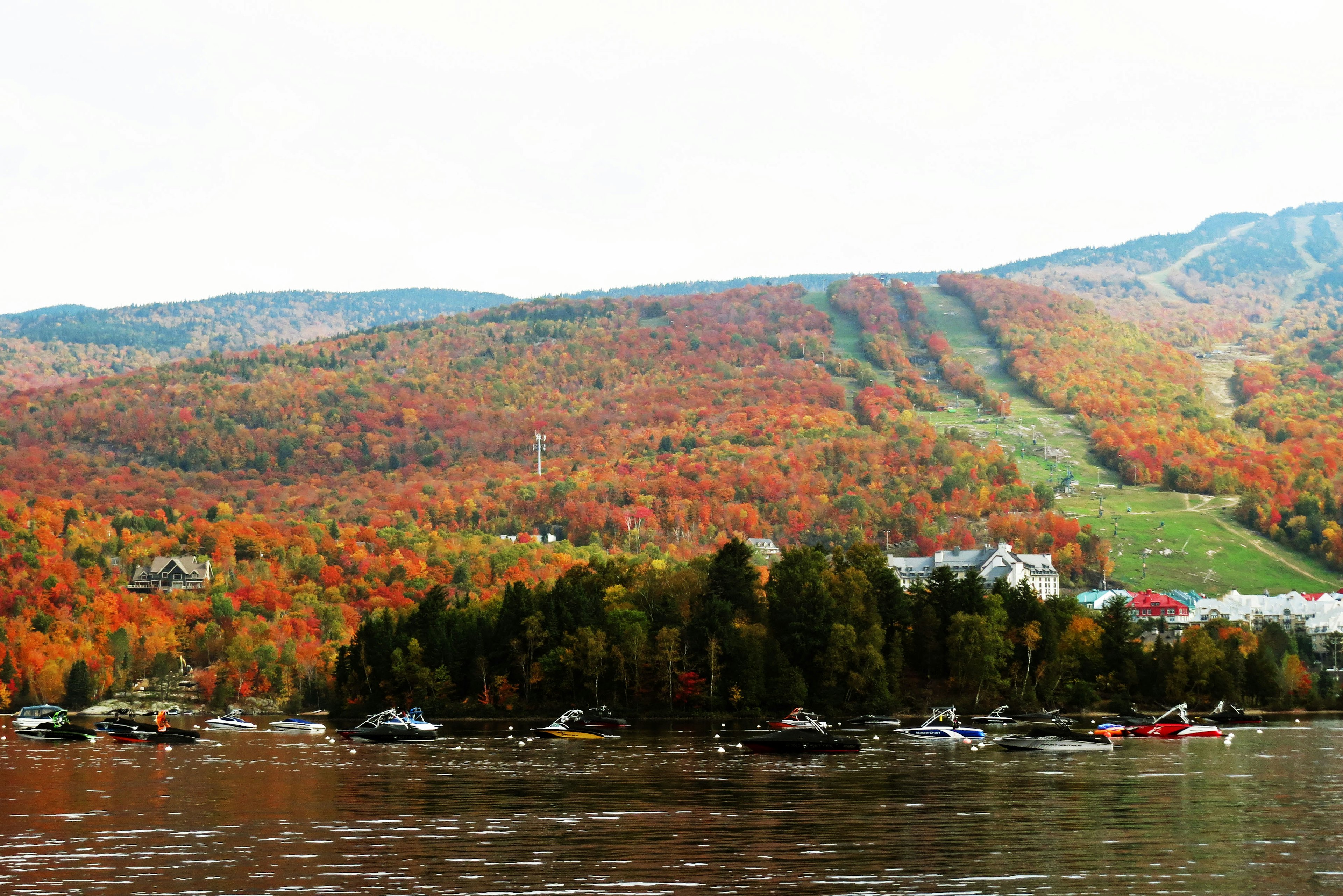 Lebendige Herbstlandschaft mit bunten Bäumen und ruhigem See