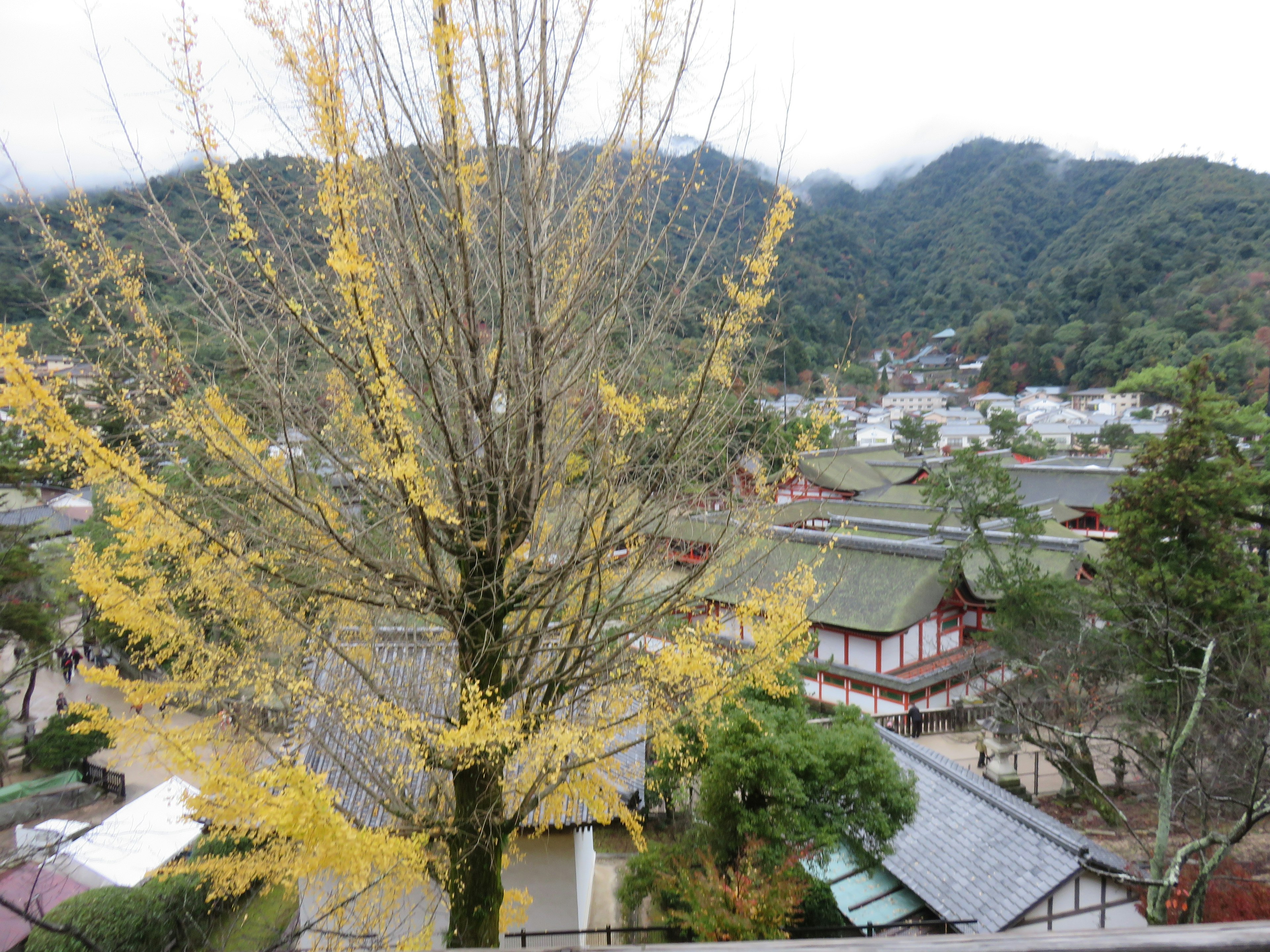 黄色の葉を持つイチョウの木と山の背景を持つ村の風景