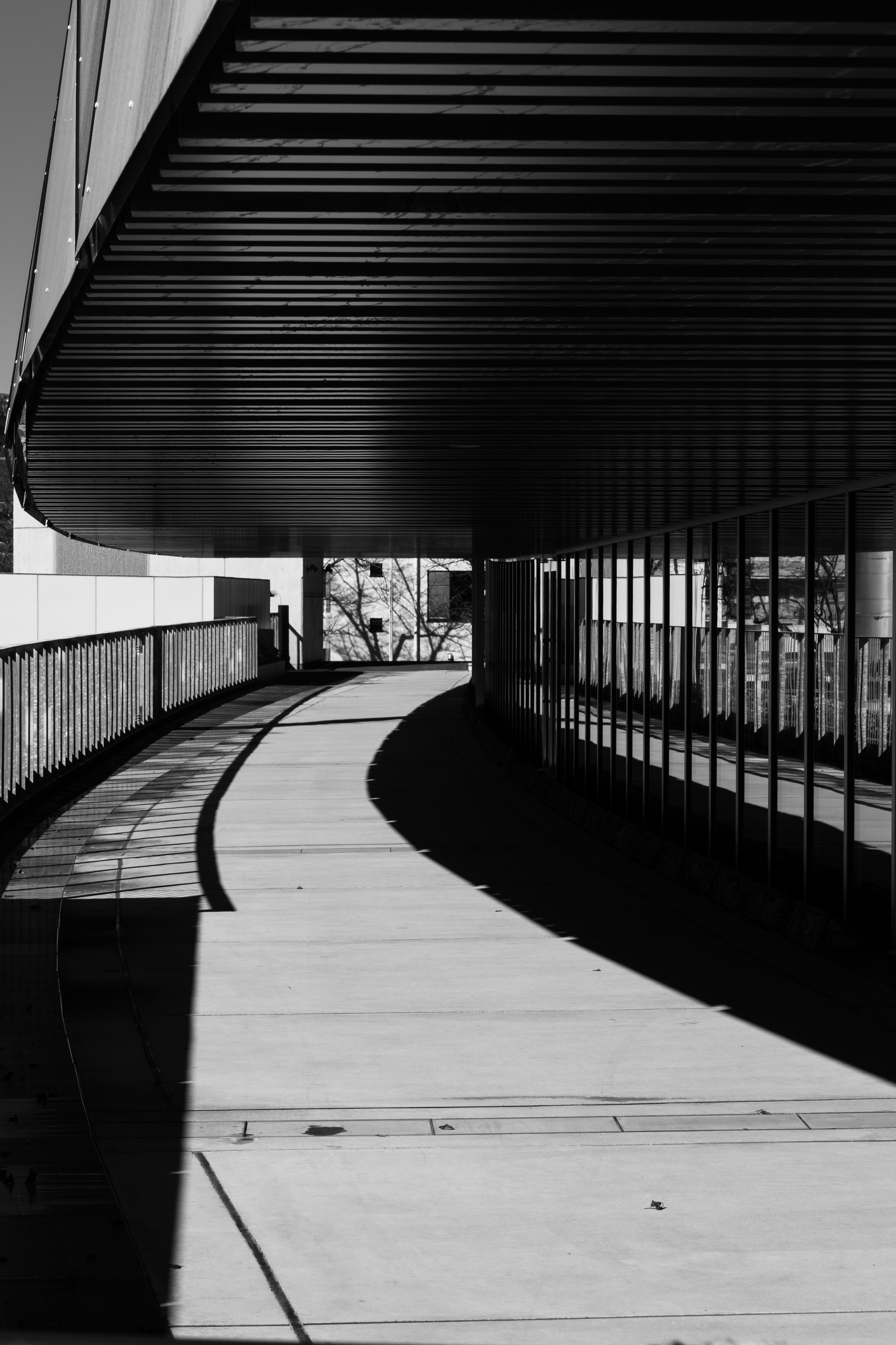 Artistic black and white image of a curved walkway featuring glass walls