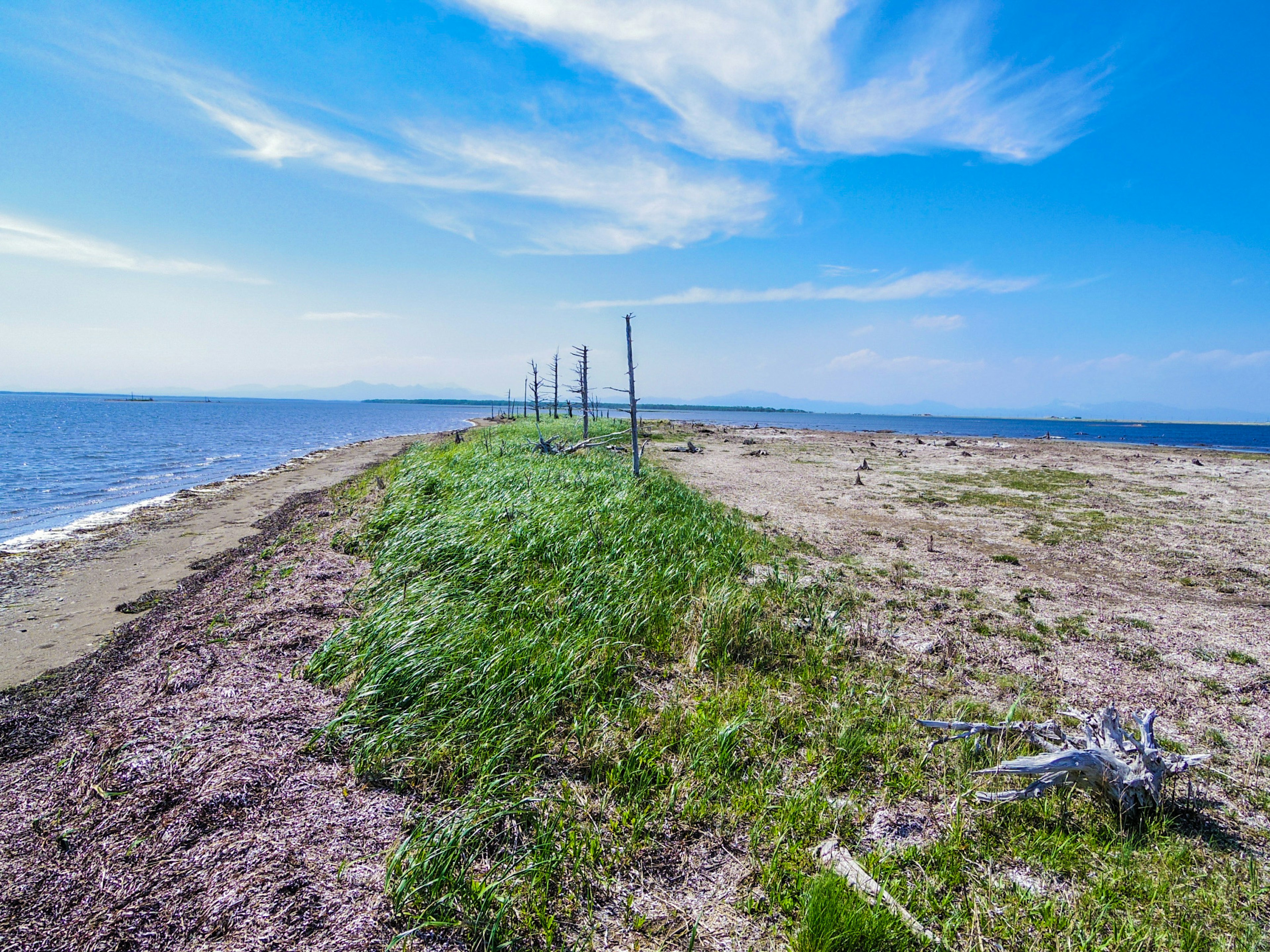 Ein Sandstrand mit üppiger grüner Vegetation vor einem Hintergrund aus blauem Himmel und Ozean