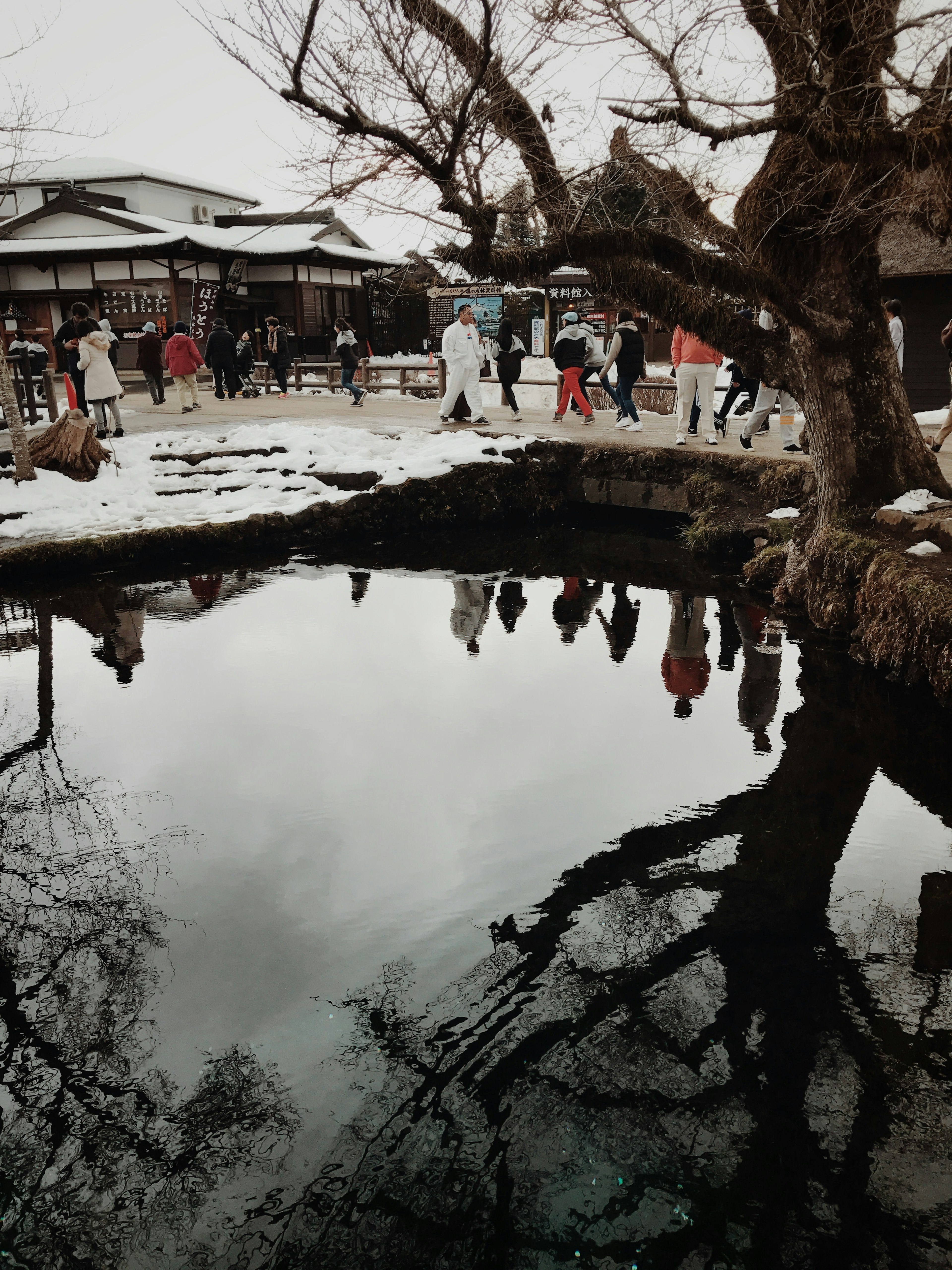 Snow-covered landscape reflecting people and branches