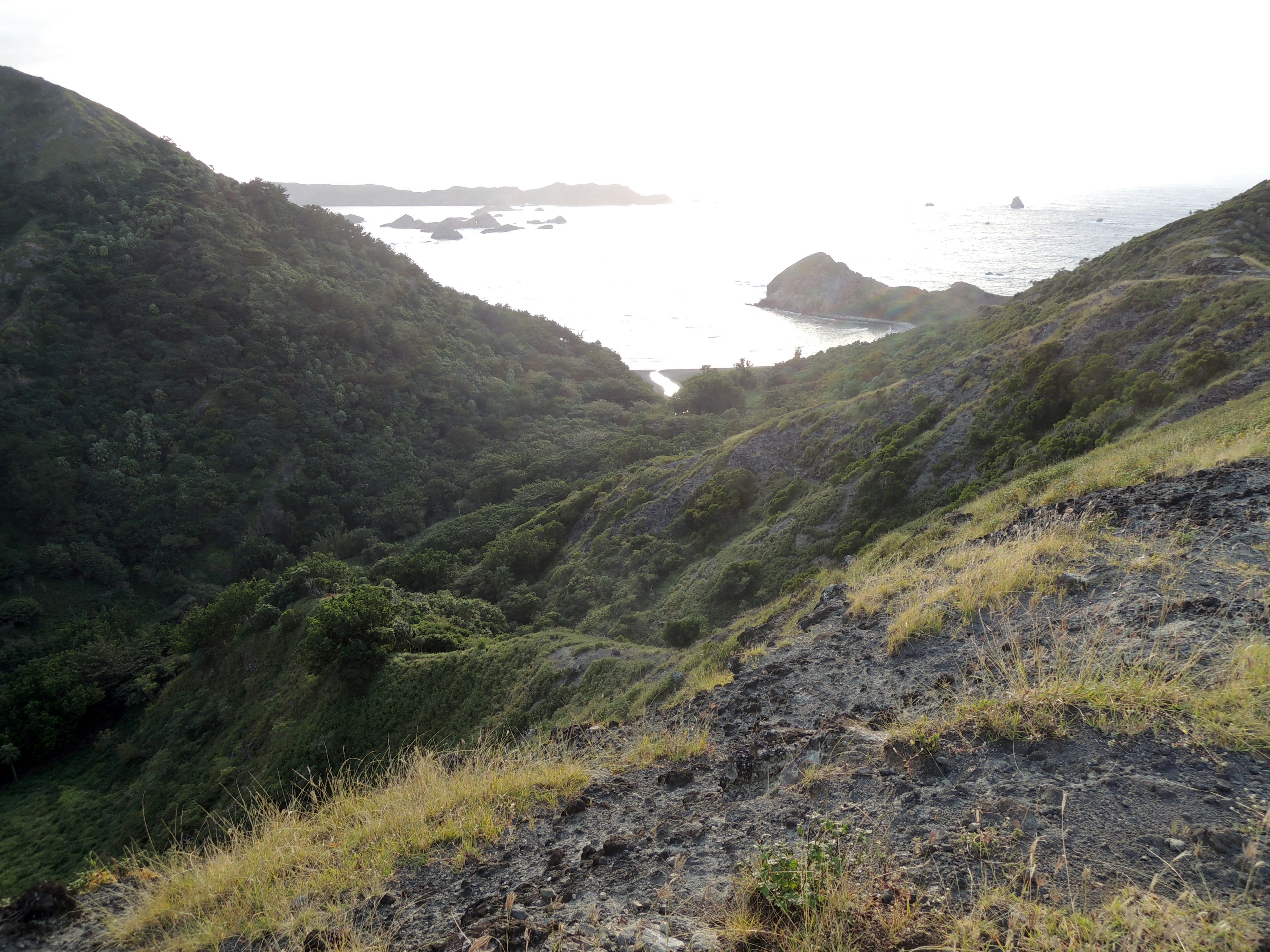 Pemandangan bukit subur dengan laut dan batuan