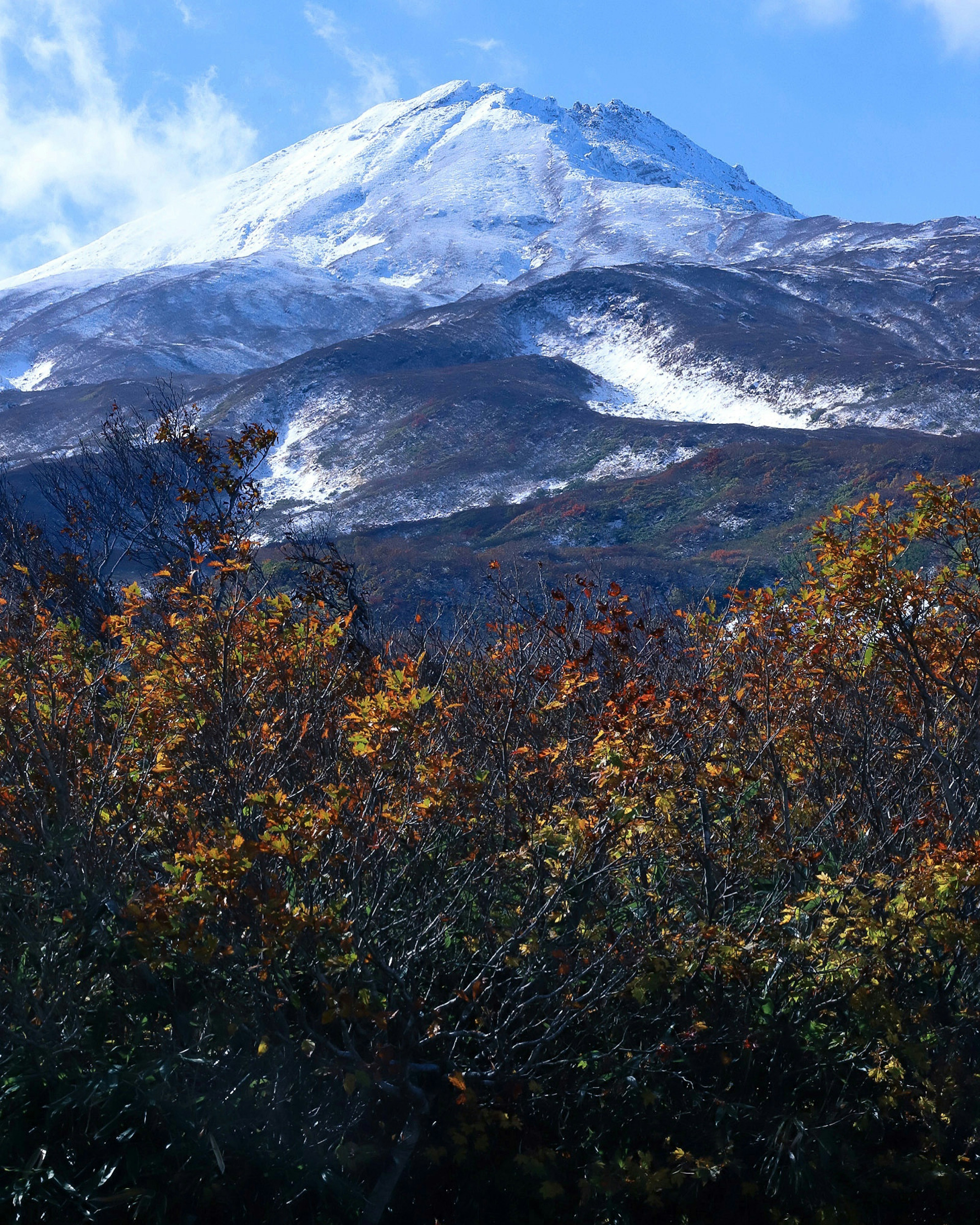 山と木々の美しい風景に雪が積もった山が見える