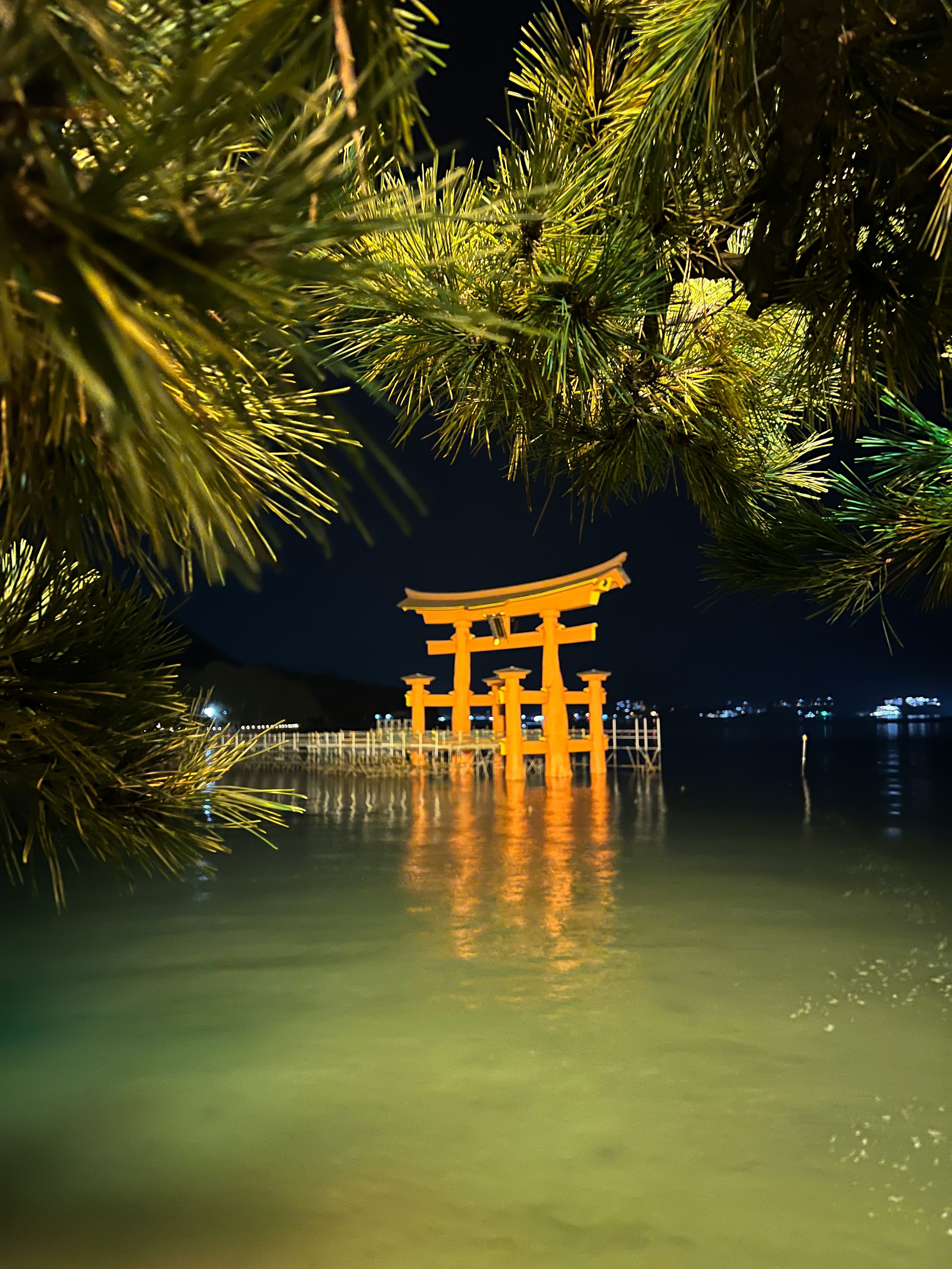 Orange Torii-Tor beleuchtet bei Nacht umgeben von Bäumen