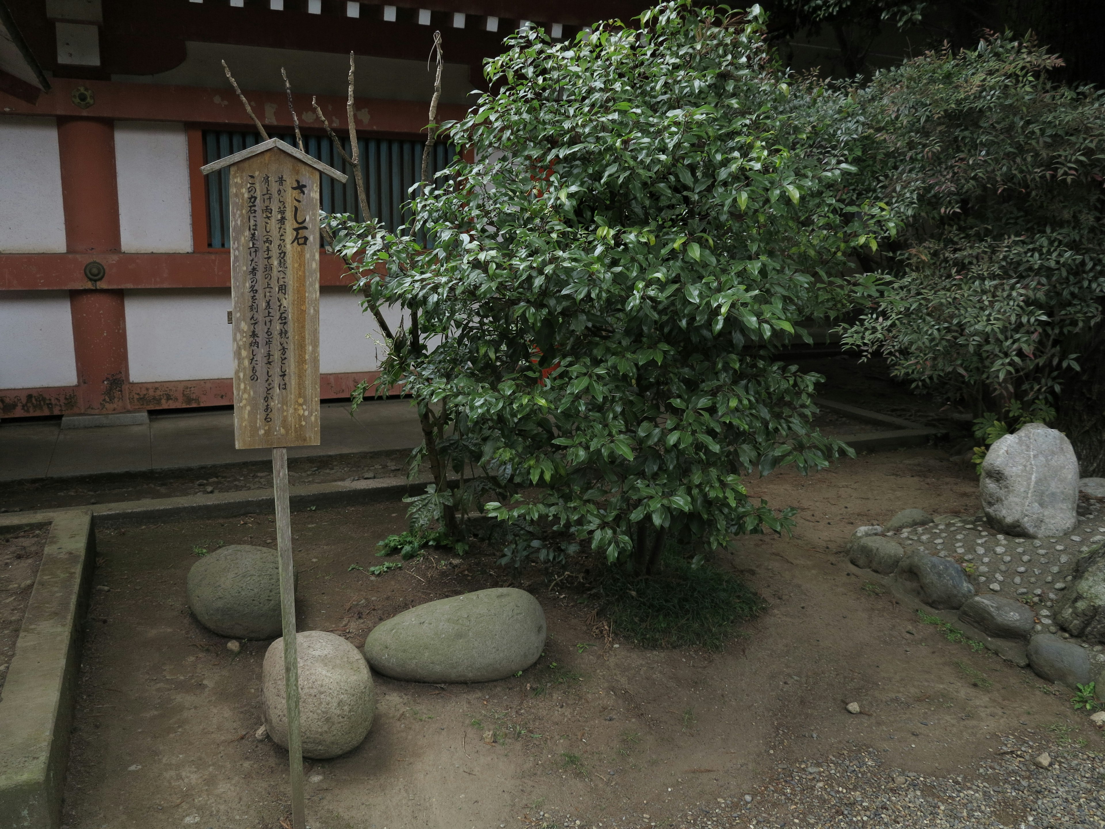 庭にある石と木のある景色