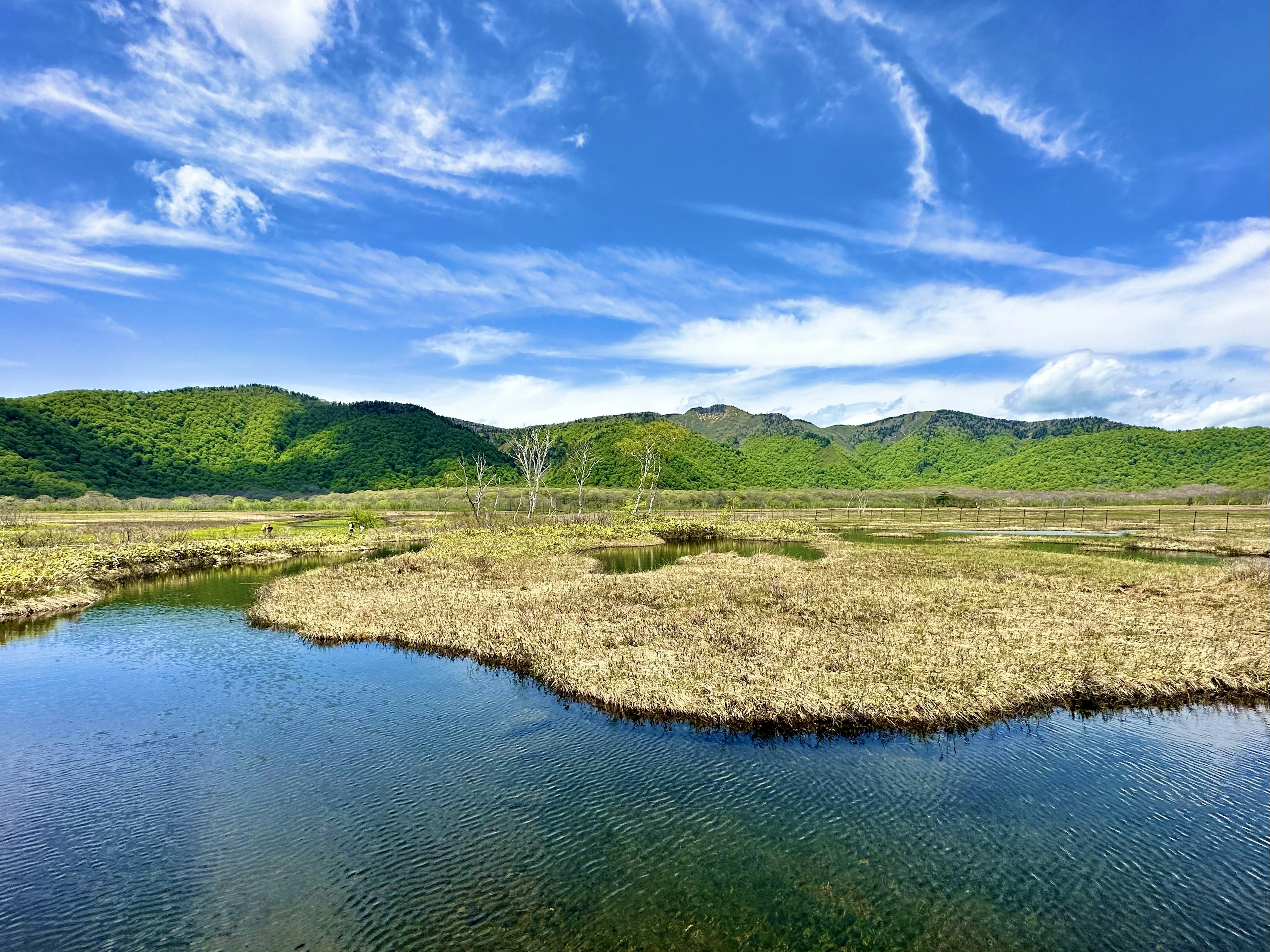 Paesaggio di palude con cielo blu e montagne verdi sullo sfondo