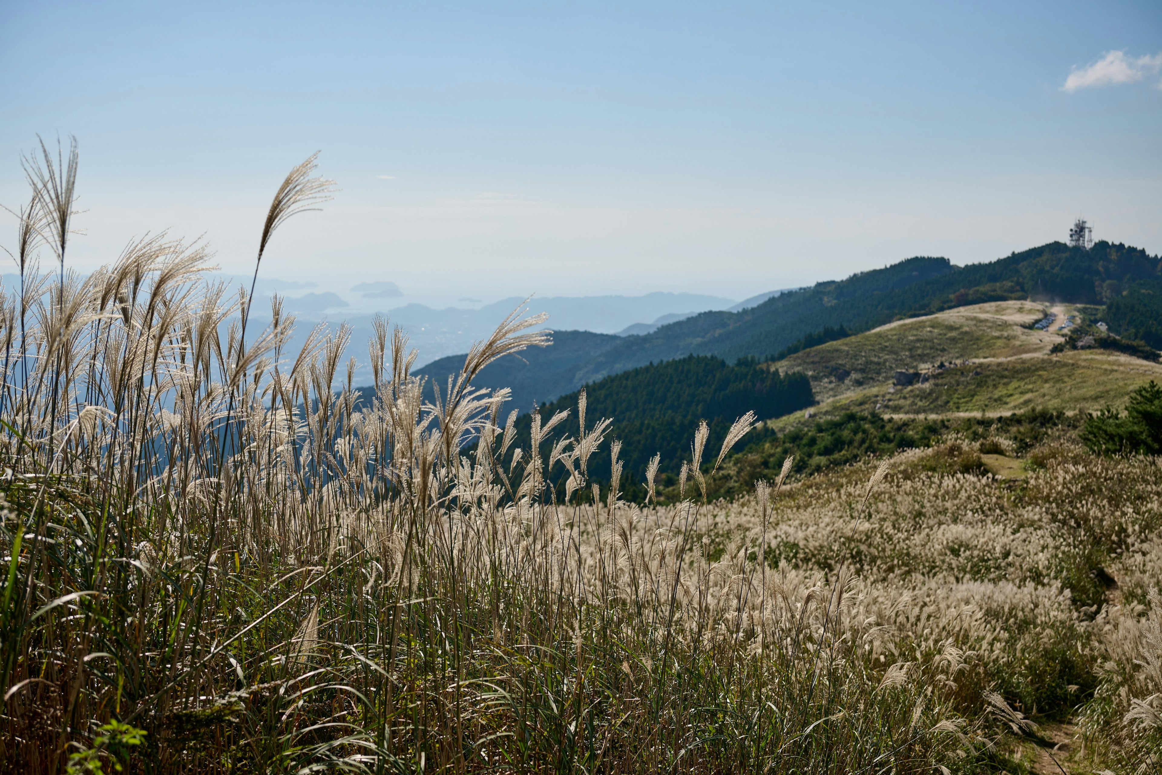 青空の下に広がる草原と山々の風景