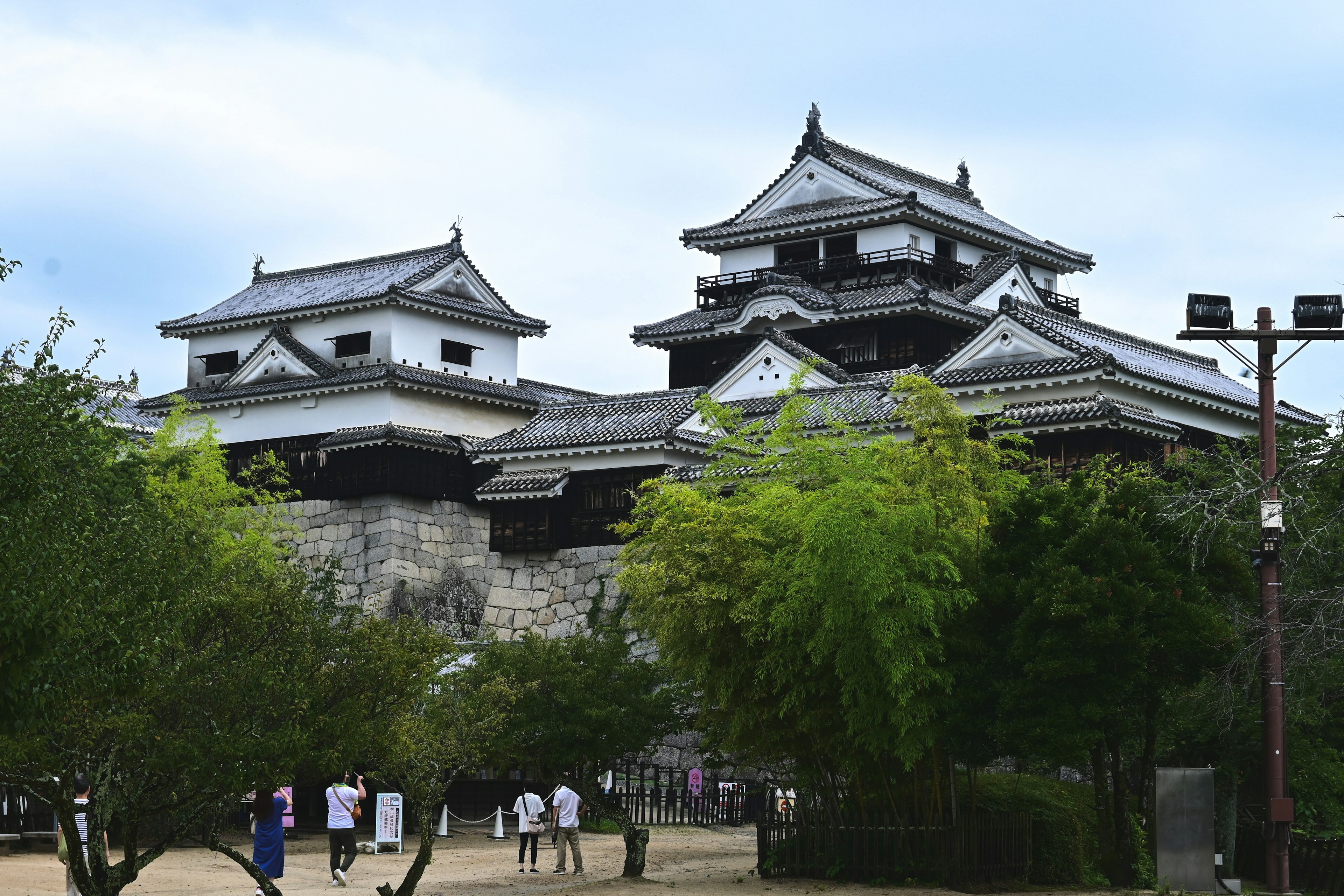 Bella architettura del castello di Matsuyama circondata da vegetazione