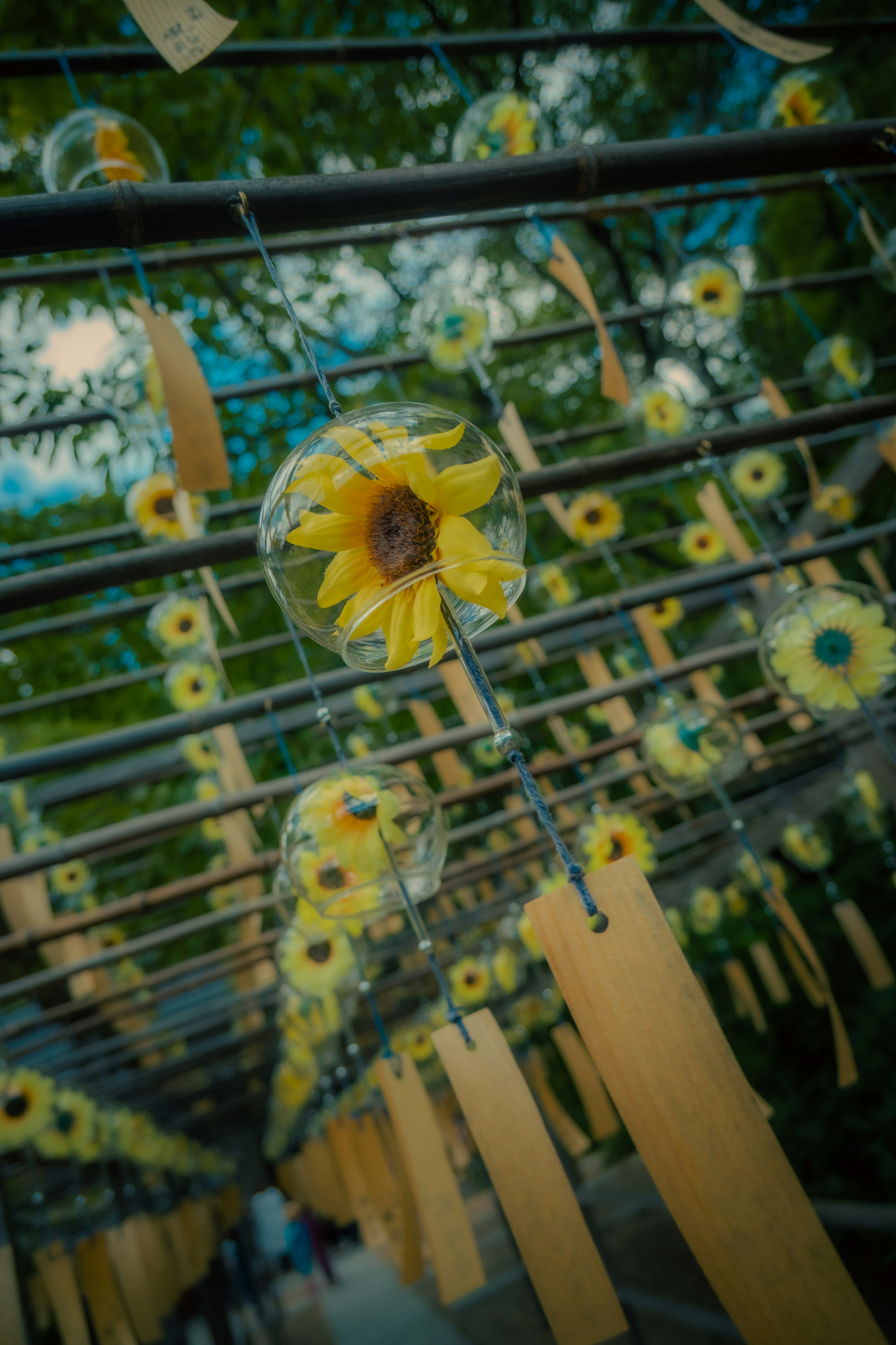 Sunflower decorations hanging under a blue sky with wooden plaques