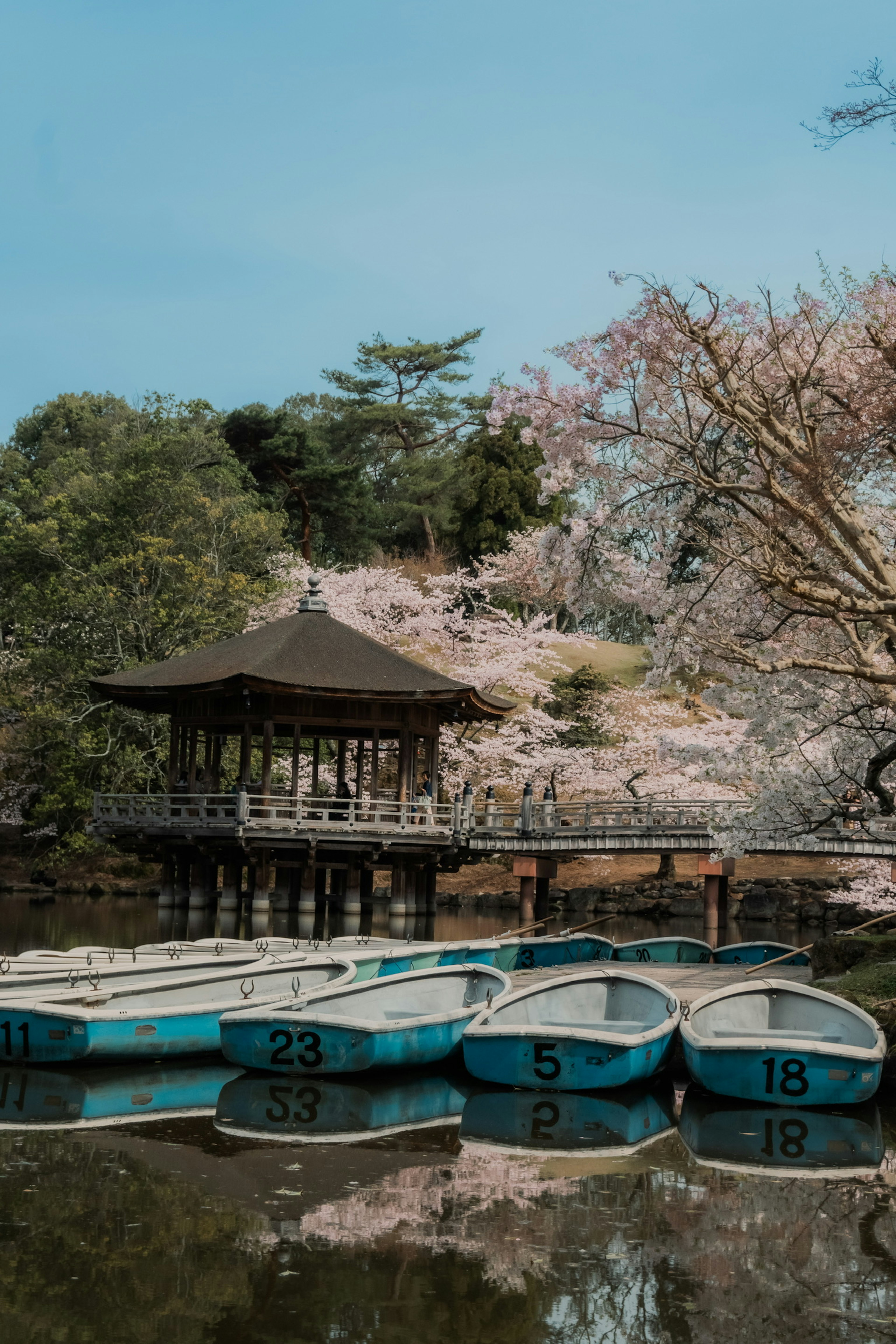 美しい桜の木の下にある静かな湖と青いボート