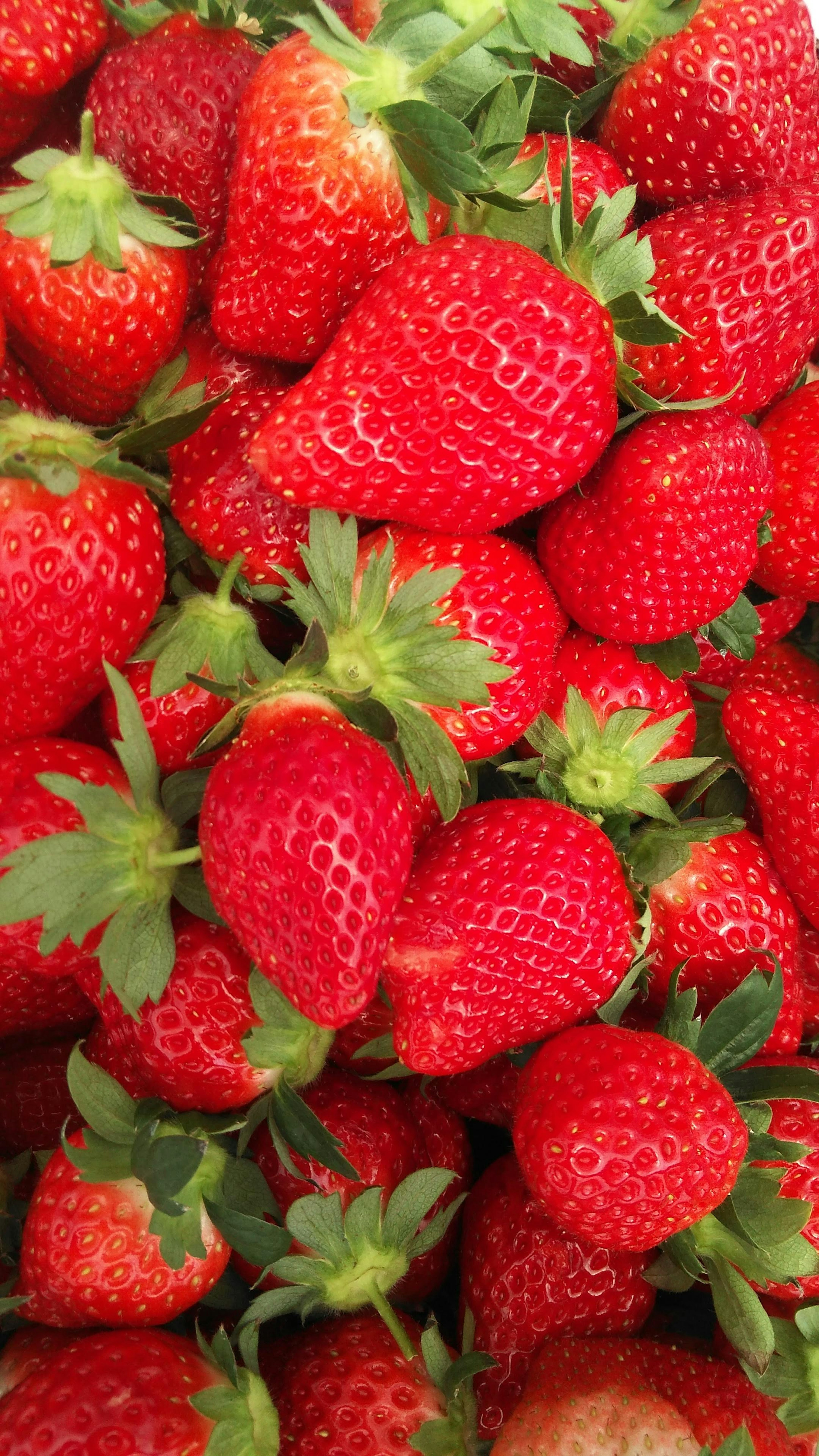 A pile of vibrant red strawberries