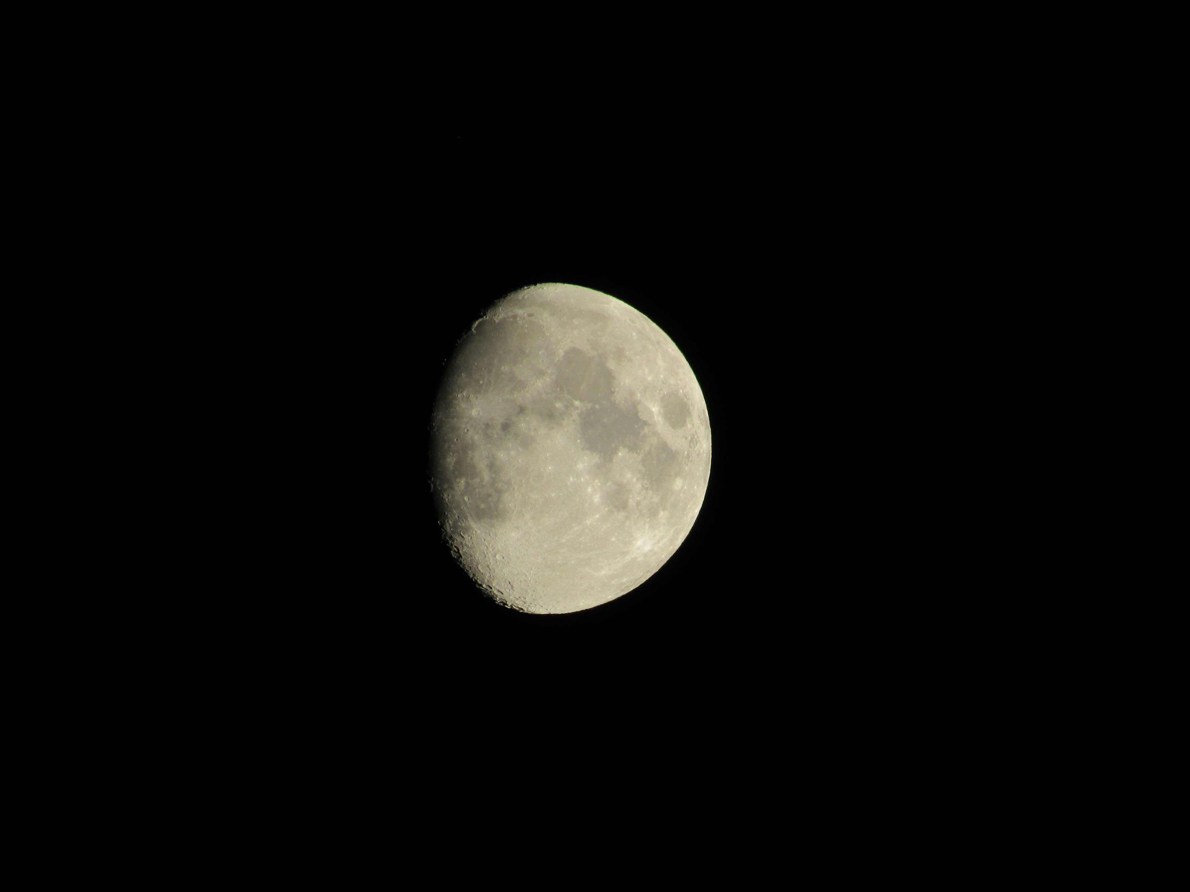 Bright crescent moon in the night sky