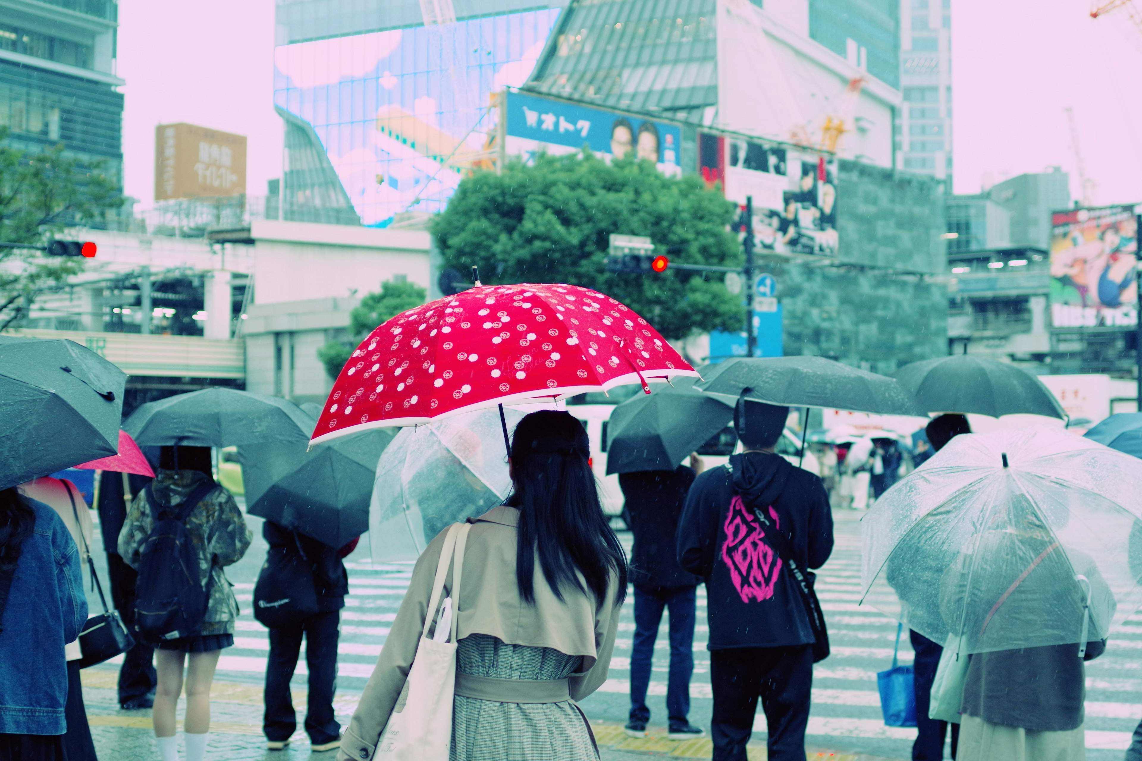 雨の中で傘を持つ人々が交差点で待つ風景 赤い傘が目立つ