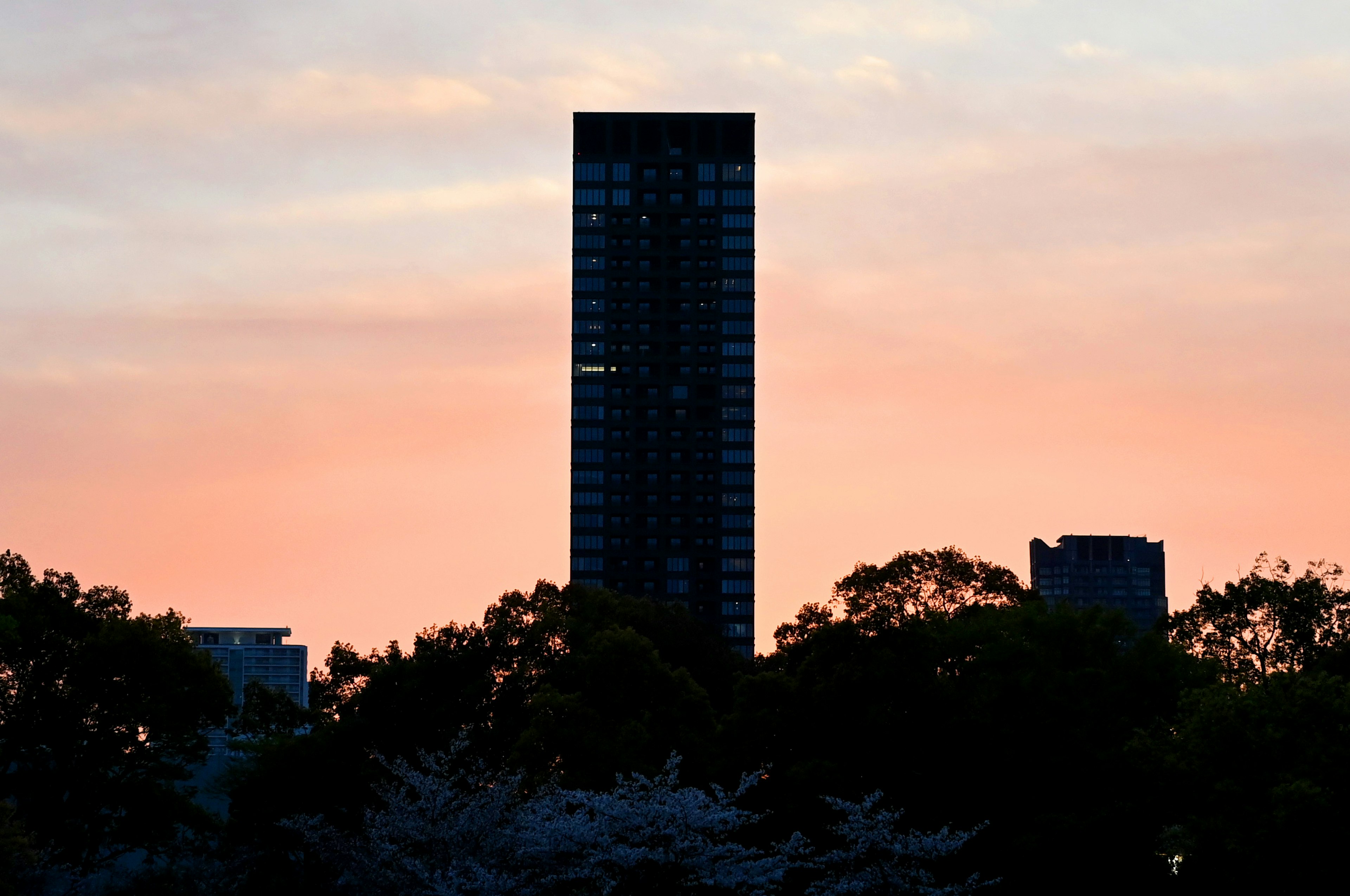 Silhouette of a skyscraper against a sunset sky