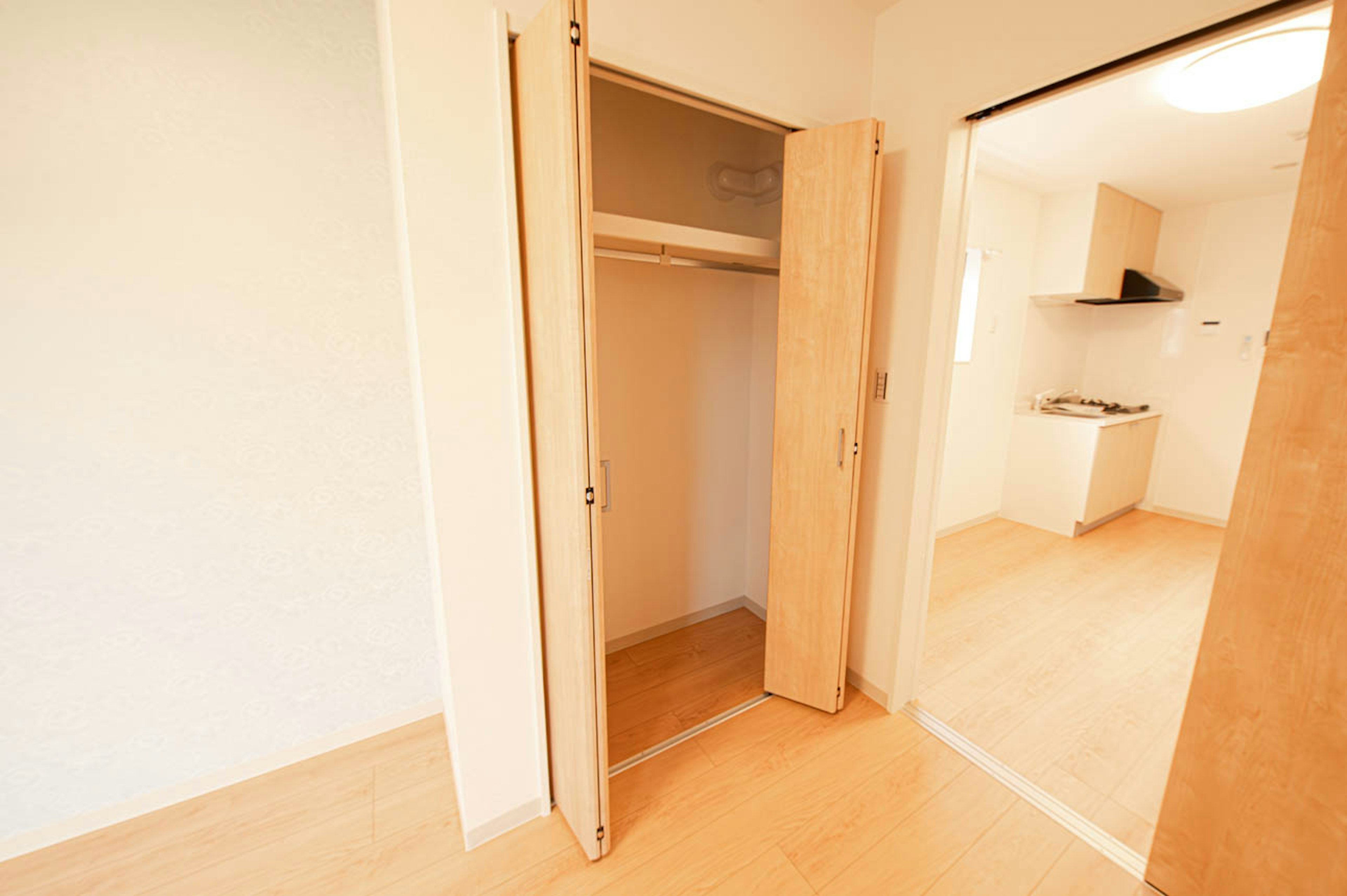 Bright room featuring an open closet and adjacent kitchen