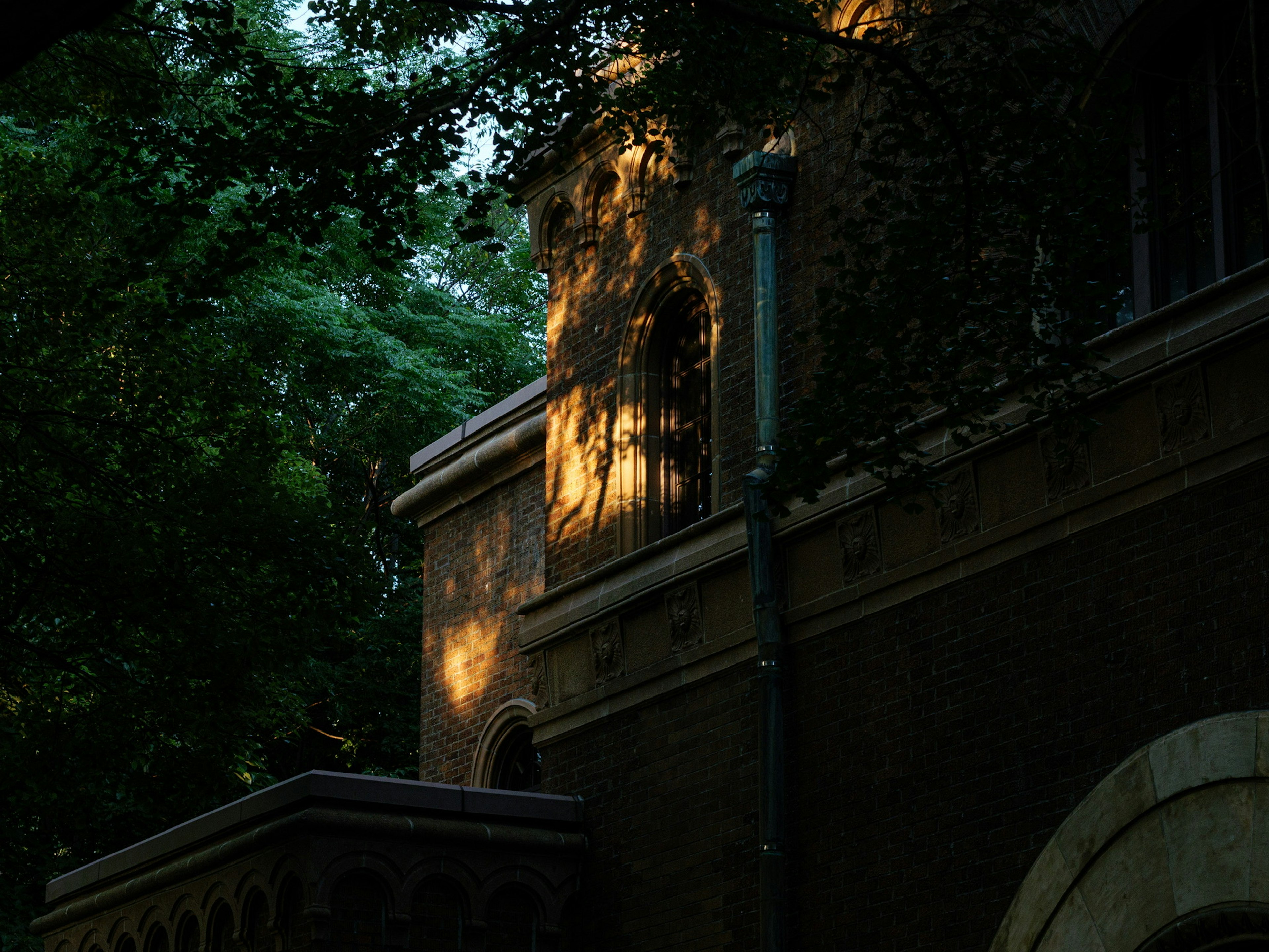 Luce morbida che filtra tra gli alberi illuminando parte di un vecchio edificio