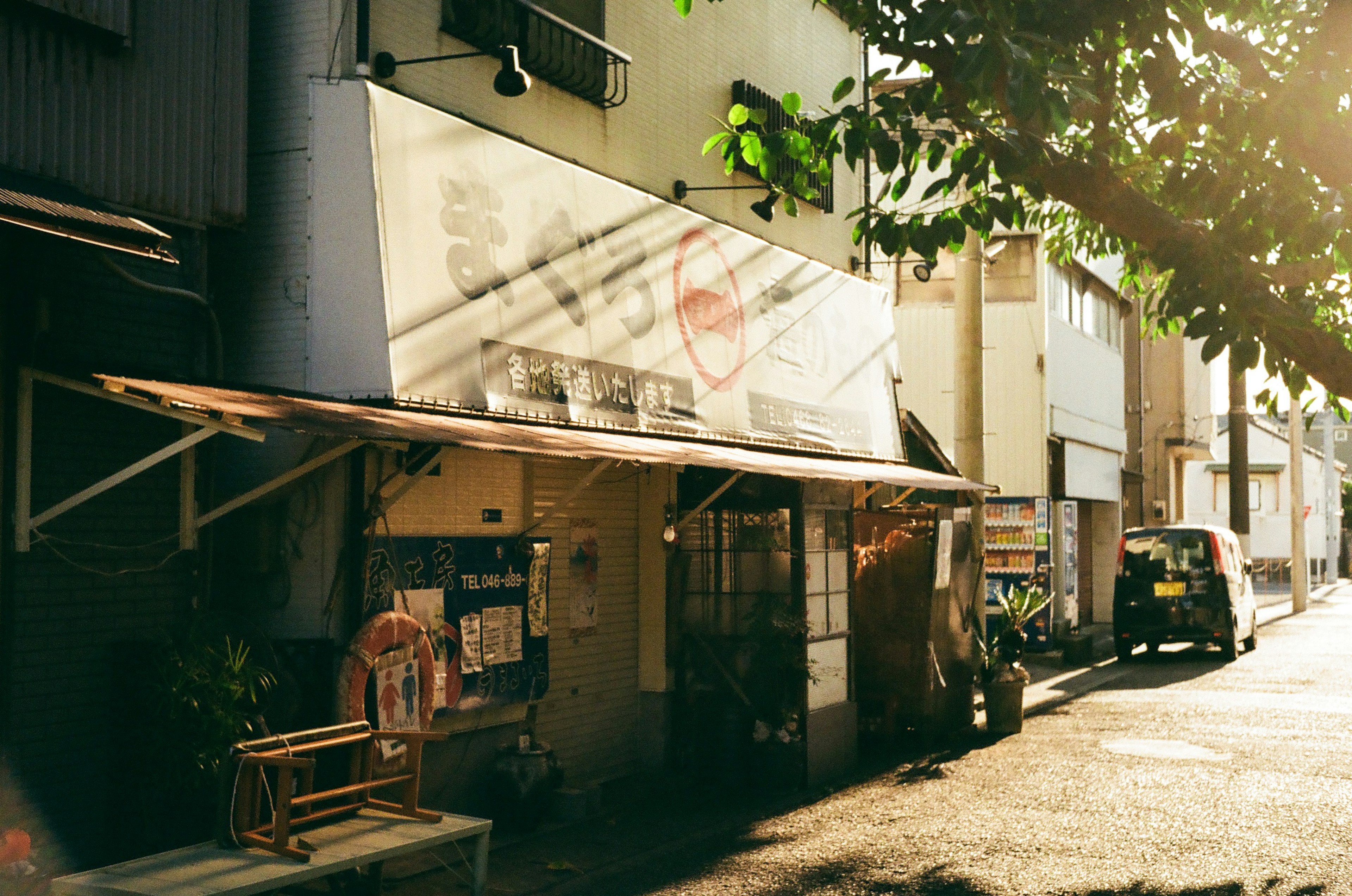 Sunlit exterior of a small shop with a sign and chairs facing the street surrounded by green leaves