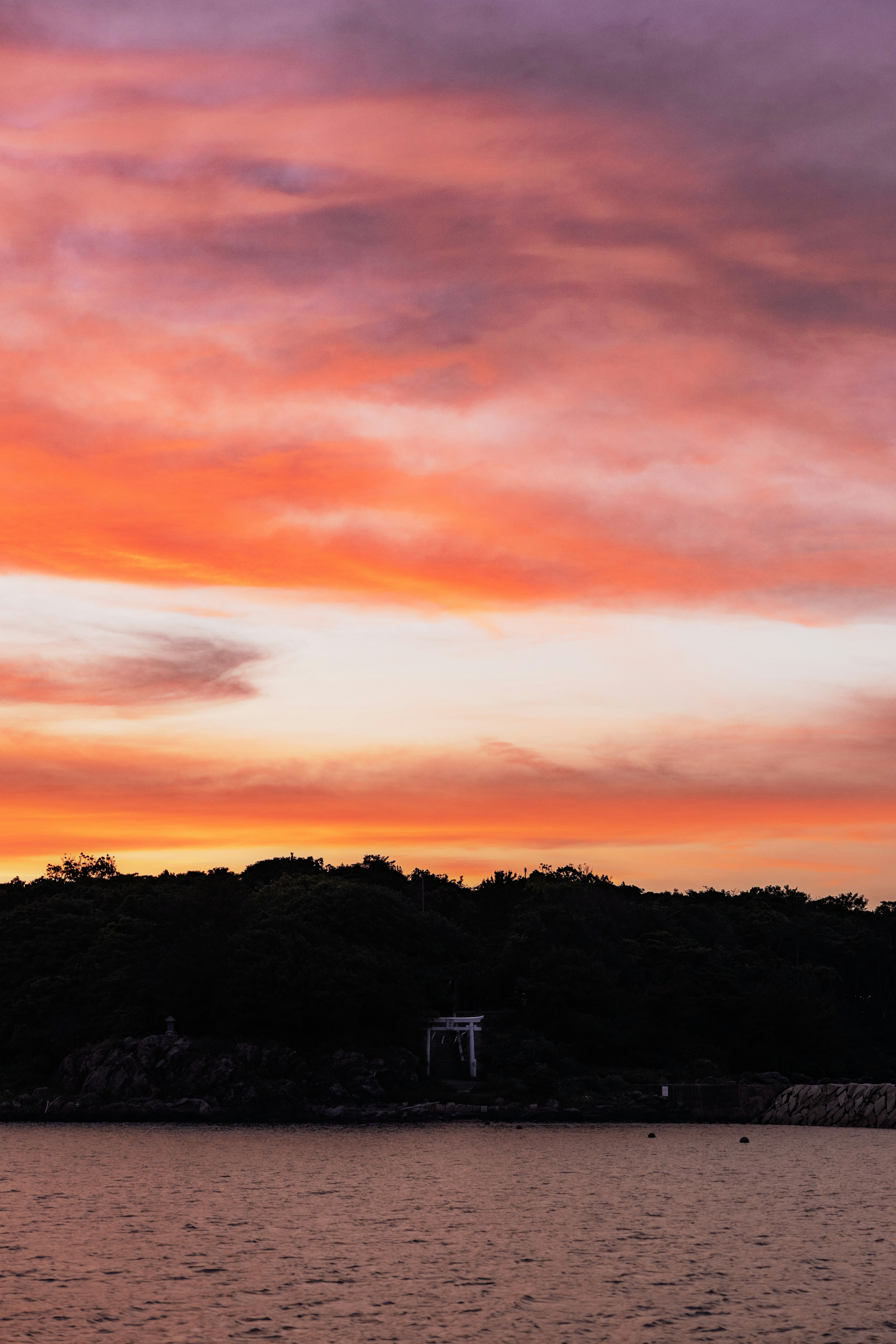 美しい夕焼けが広がる空とシルエットになった木々の景色