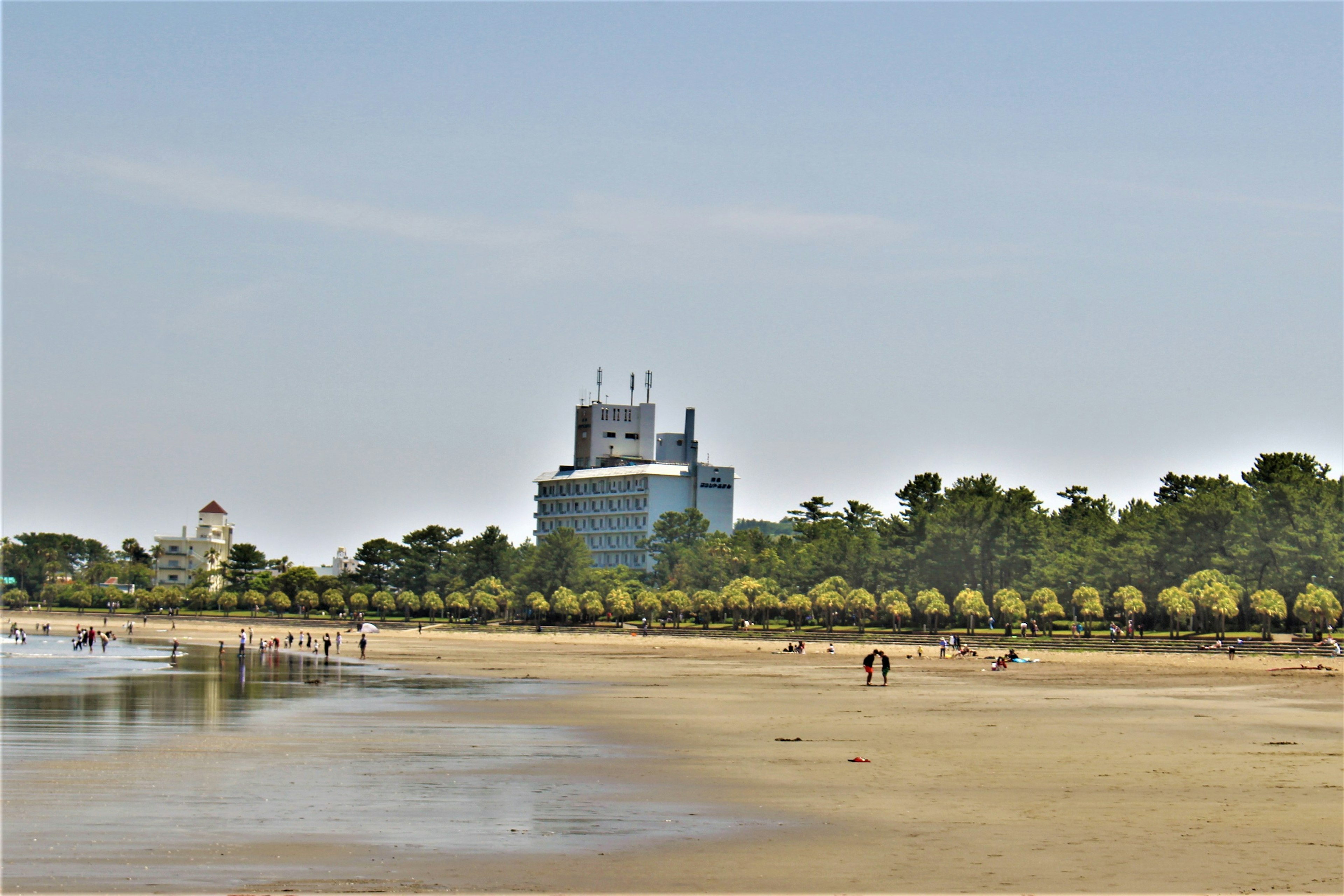 Beach scene featuring a tall building and lined trees