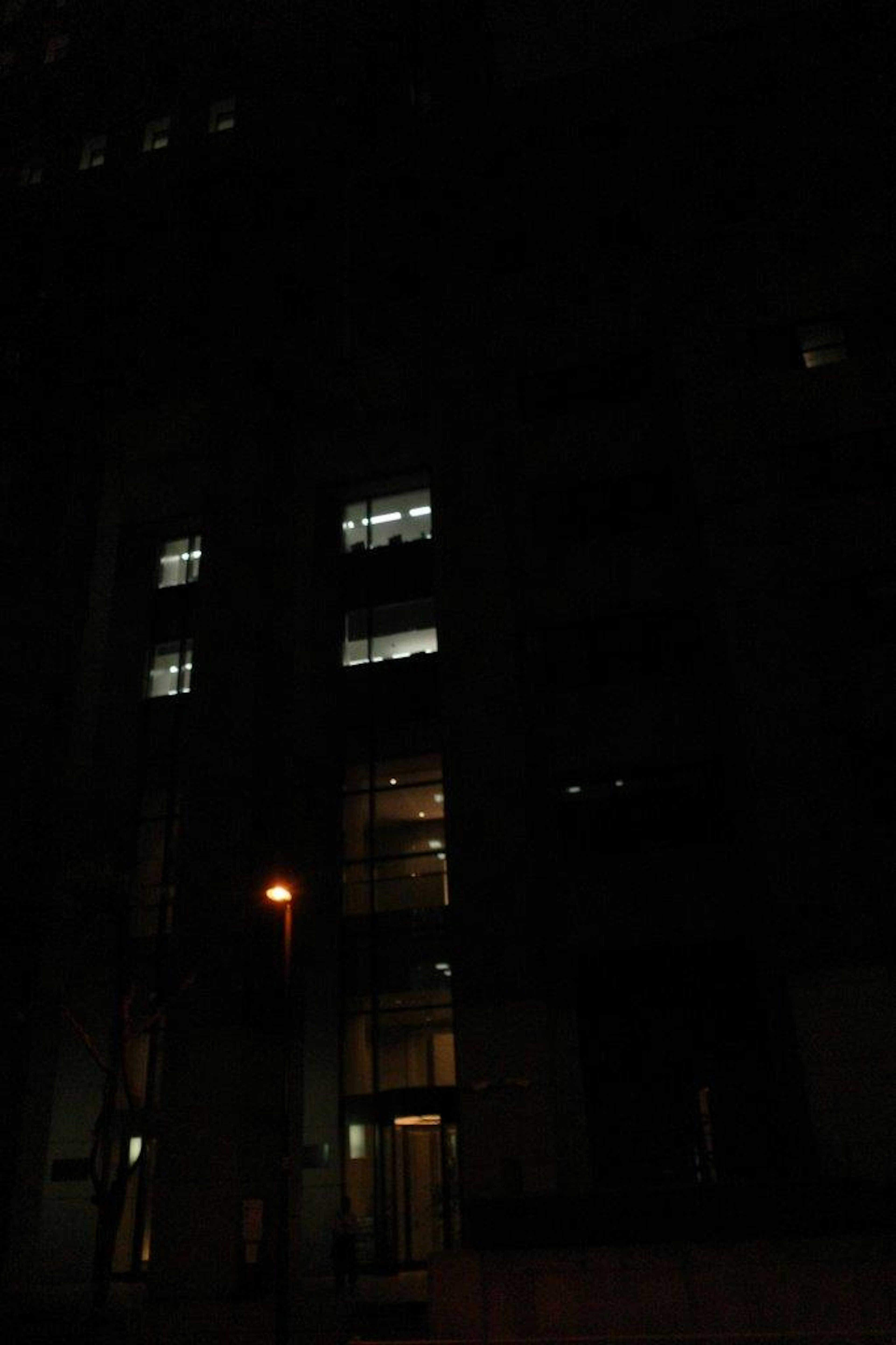 Building windows lit at night with streetlight