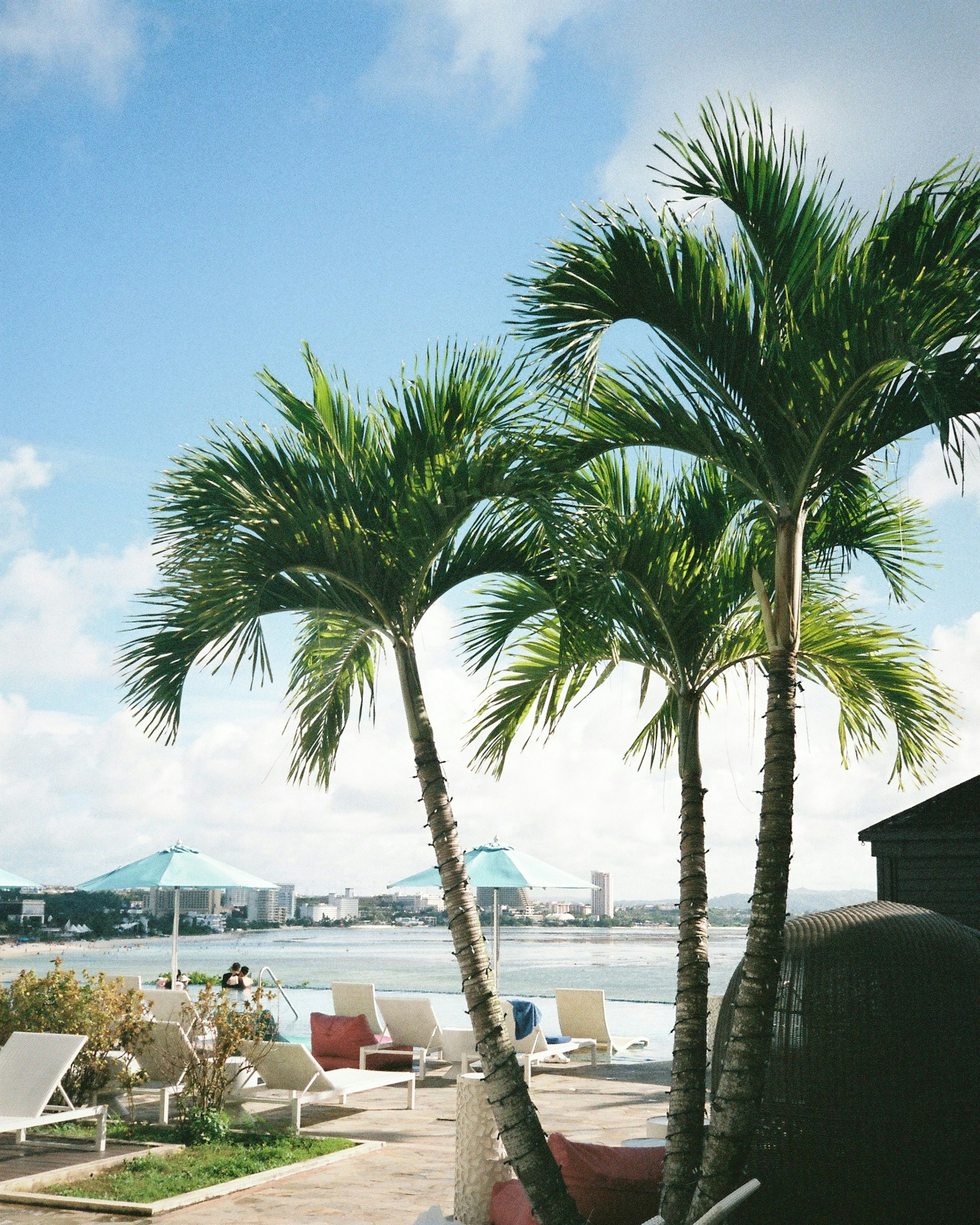 Strandlandschaft mit Palmen und blauem Himmel