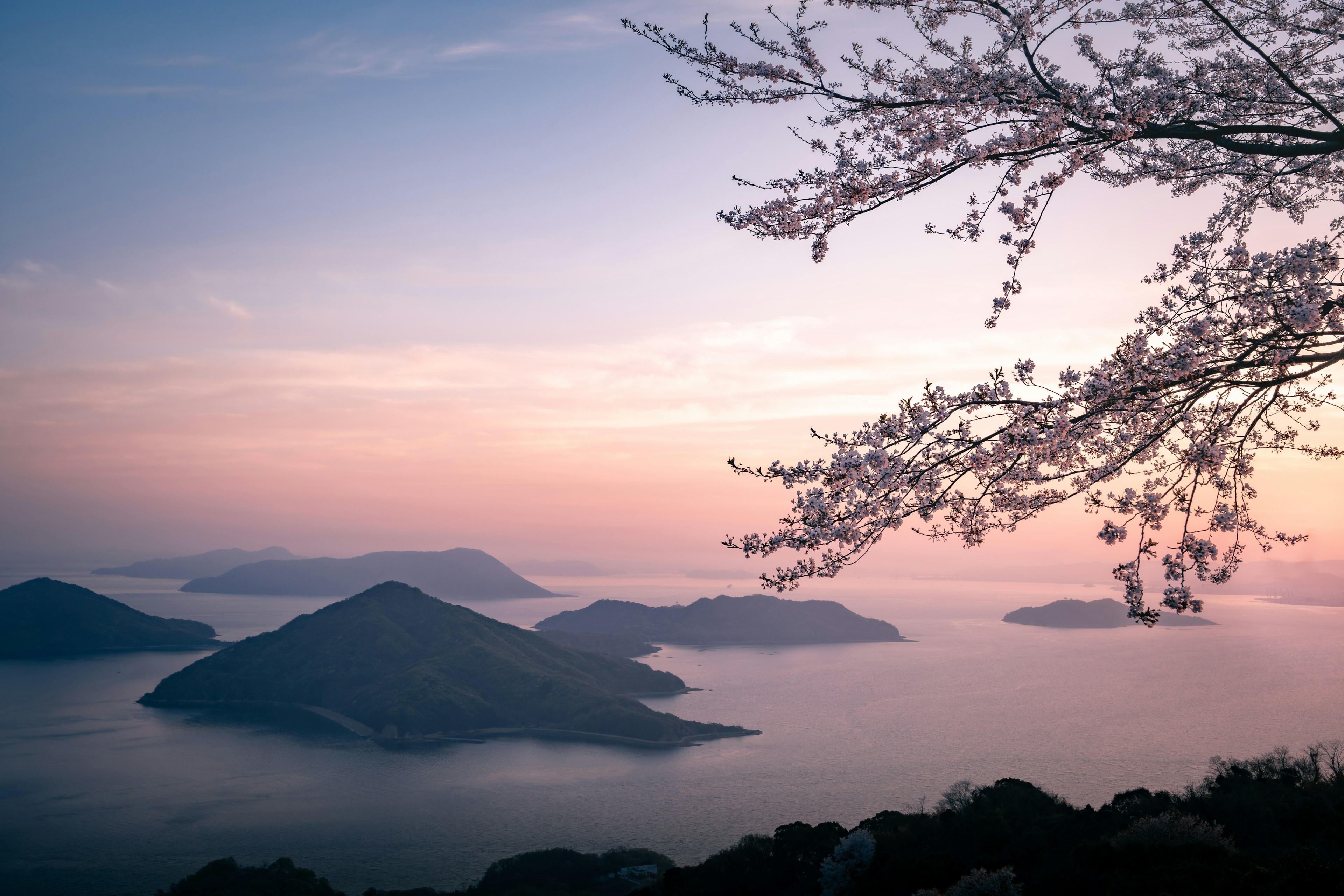 Islas hermosas silhoueteadas contra un atardecer con flores de cerezo