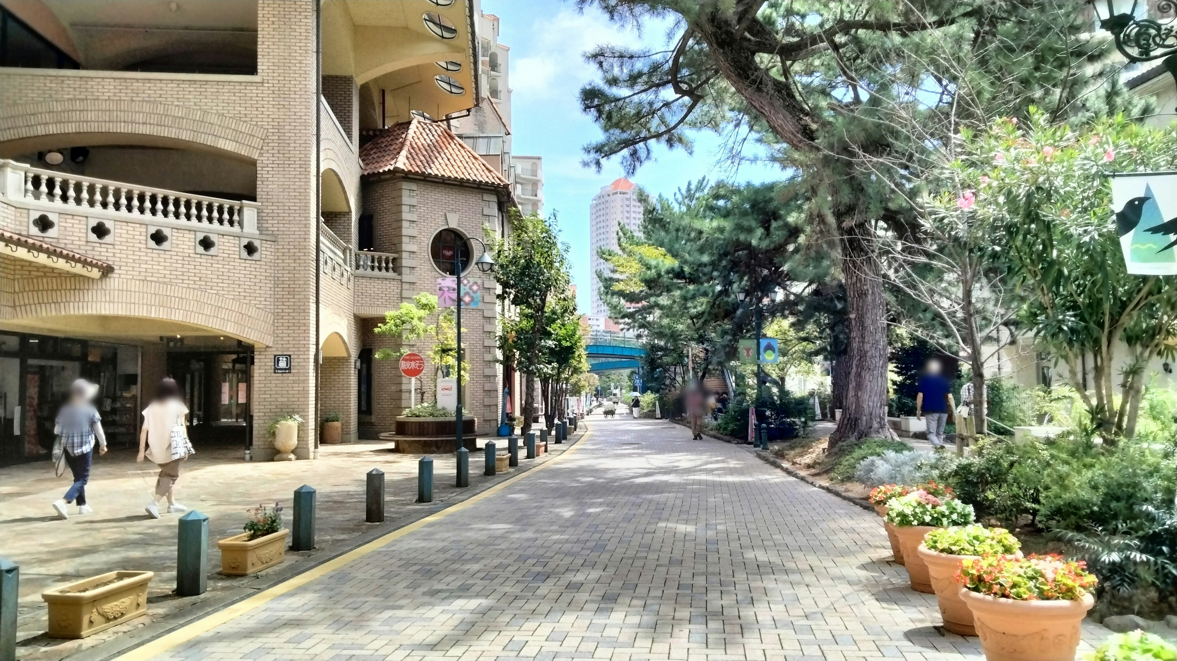 Calle tranquila bordeada de edificios y vegetación exuberante