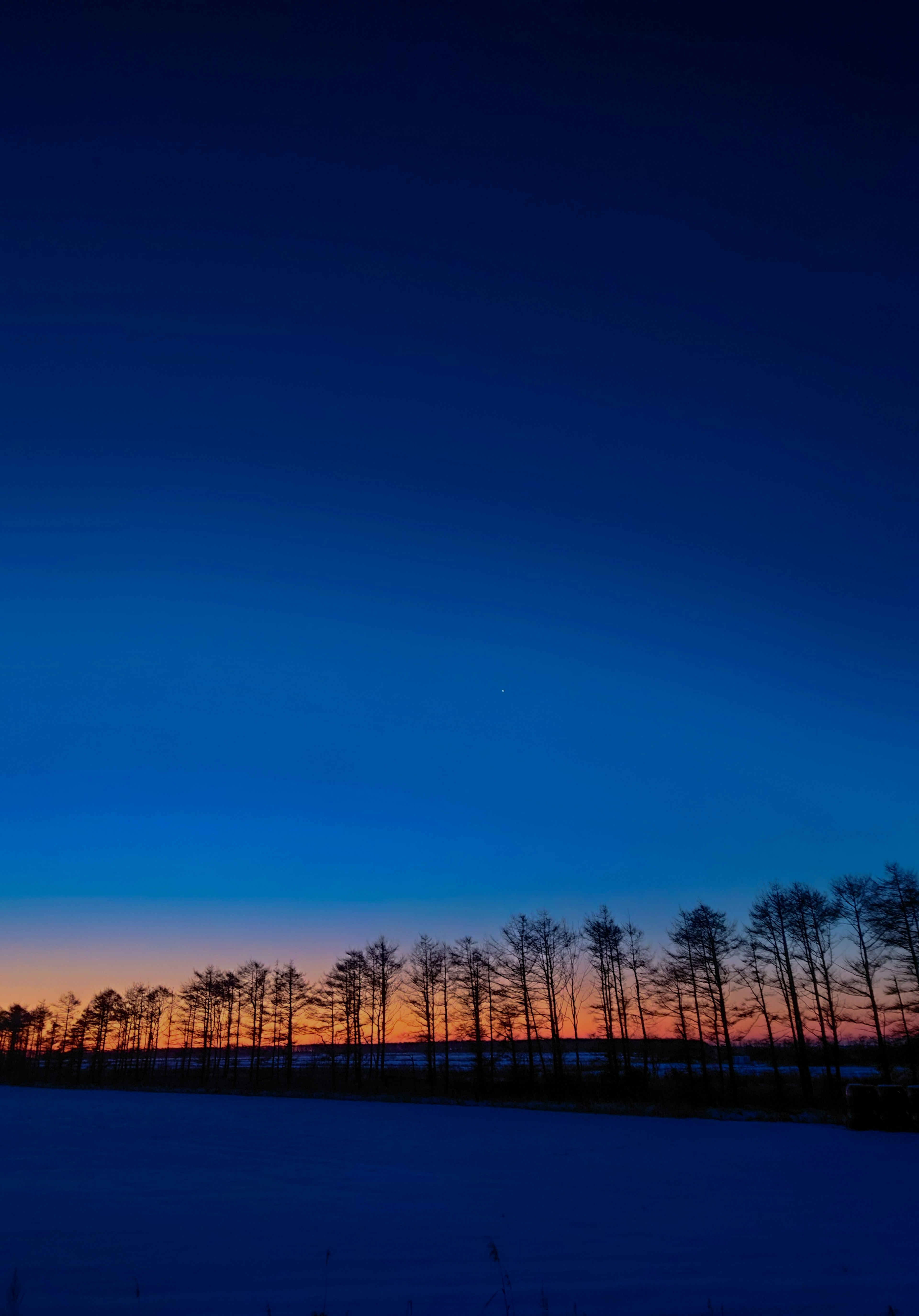 雪に覆われた土地に沿った木々と美しい夕焼けの空