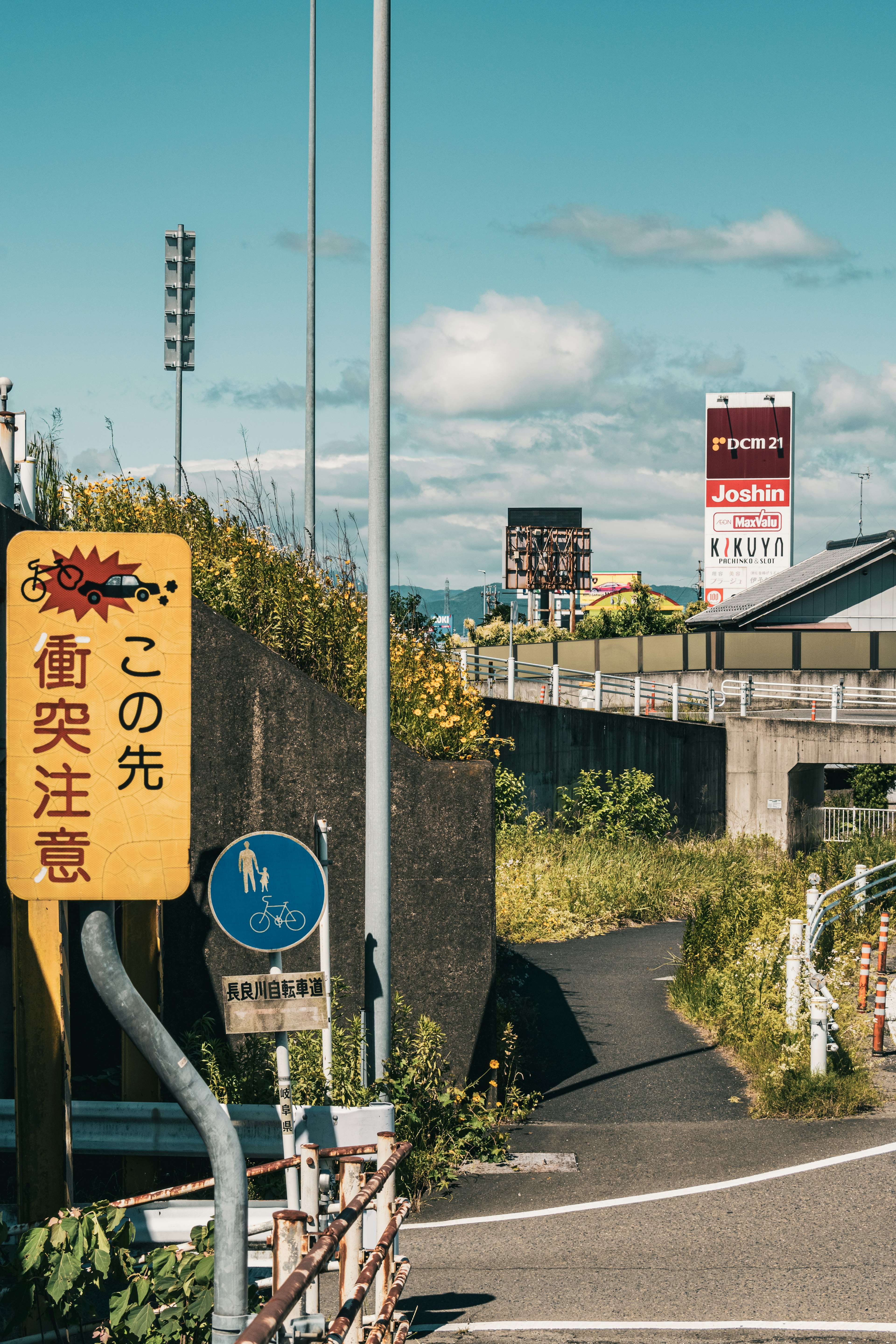 道路标志和风景的照片 有绿色小道和高架道路