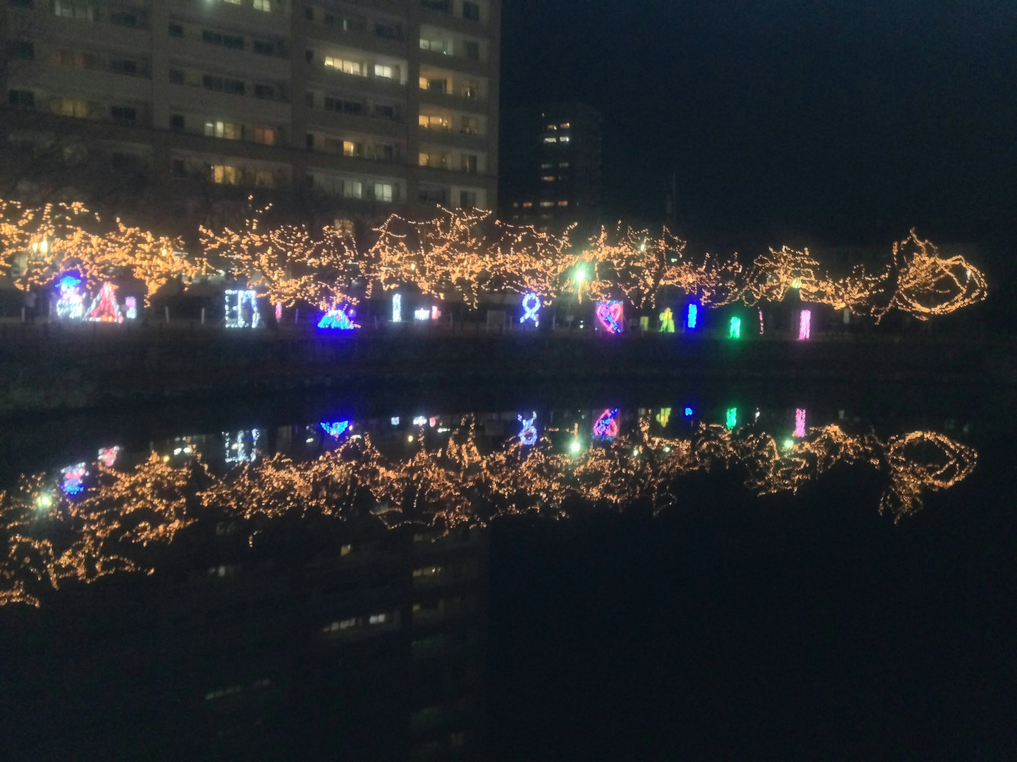 Lampu Natal yang bersinar di tepi sungai di malam hari