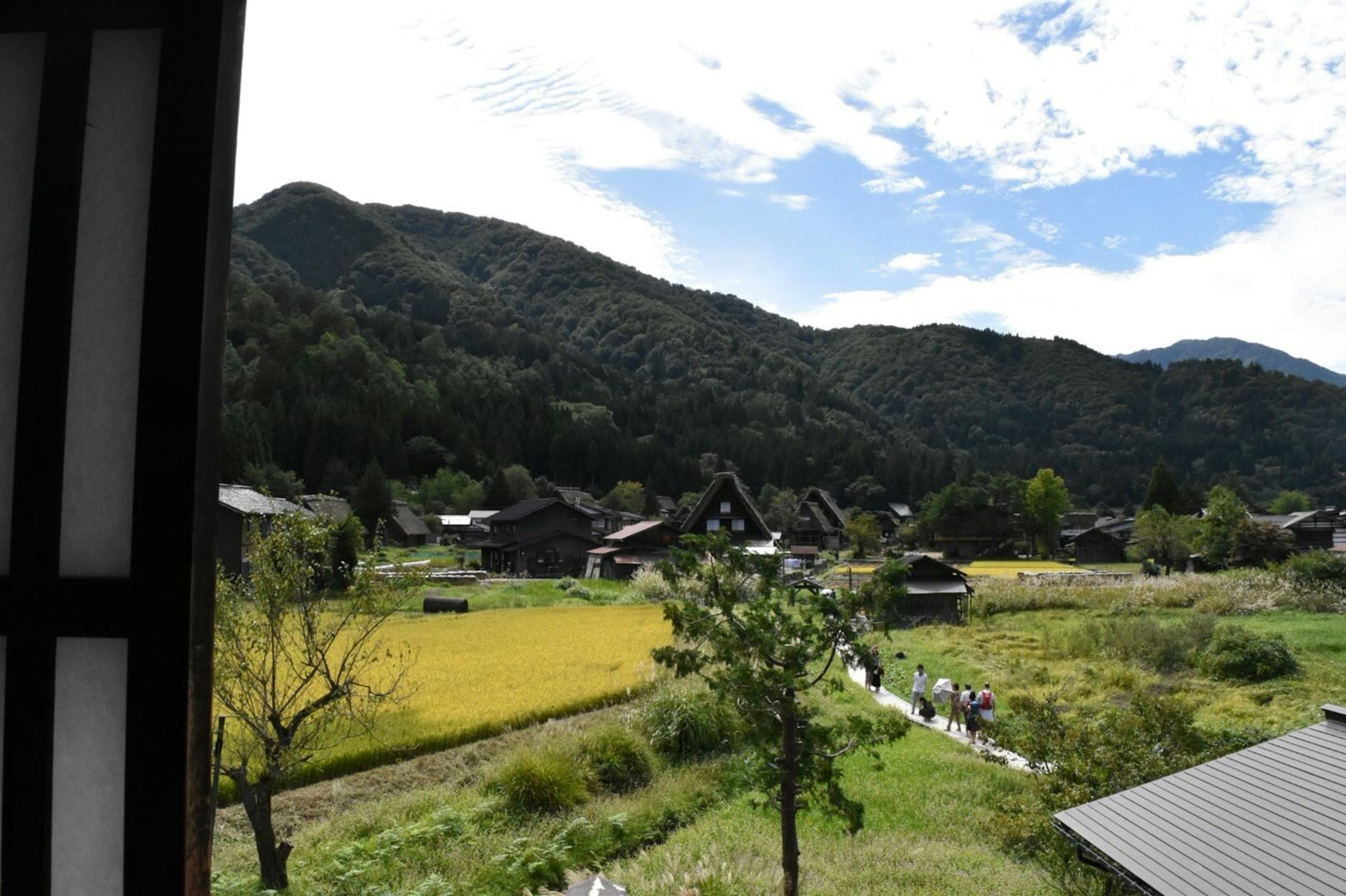 山々に囲まれた田舎の風景 古い家々と稲が広がる